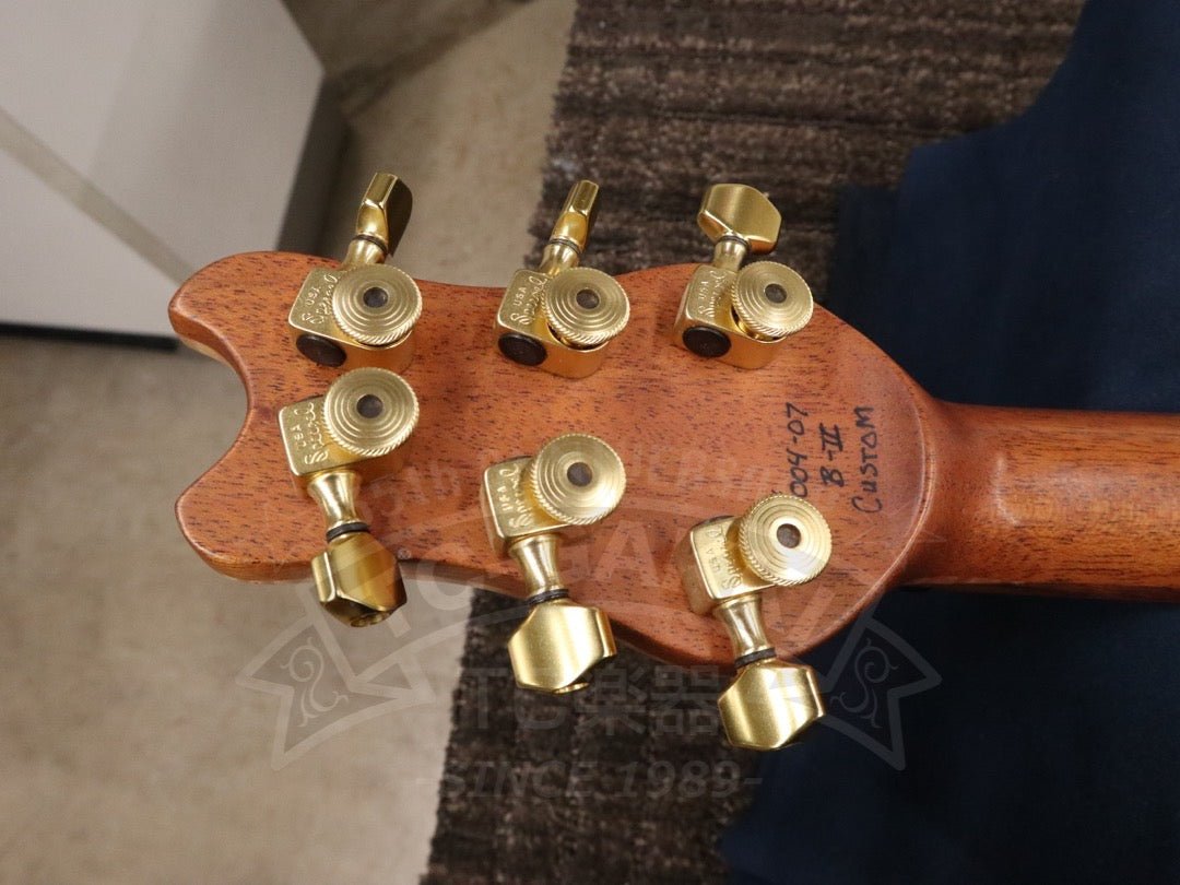 Brubaker Guitars B-II Custom - TC楽器 - TCGAKKI