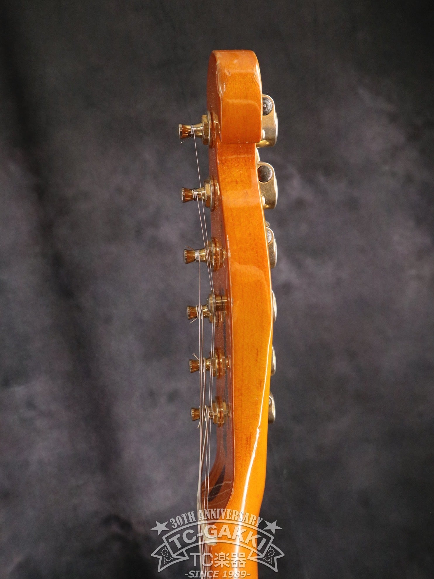 ハーモニカマイク(Mad Cat） SHAKER MICS ( シェーカーマイクス ) MAD CAT ハーモニカ用