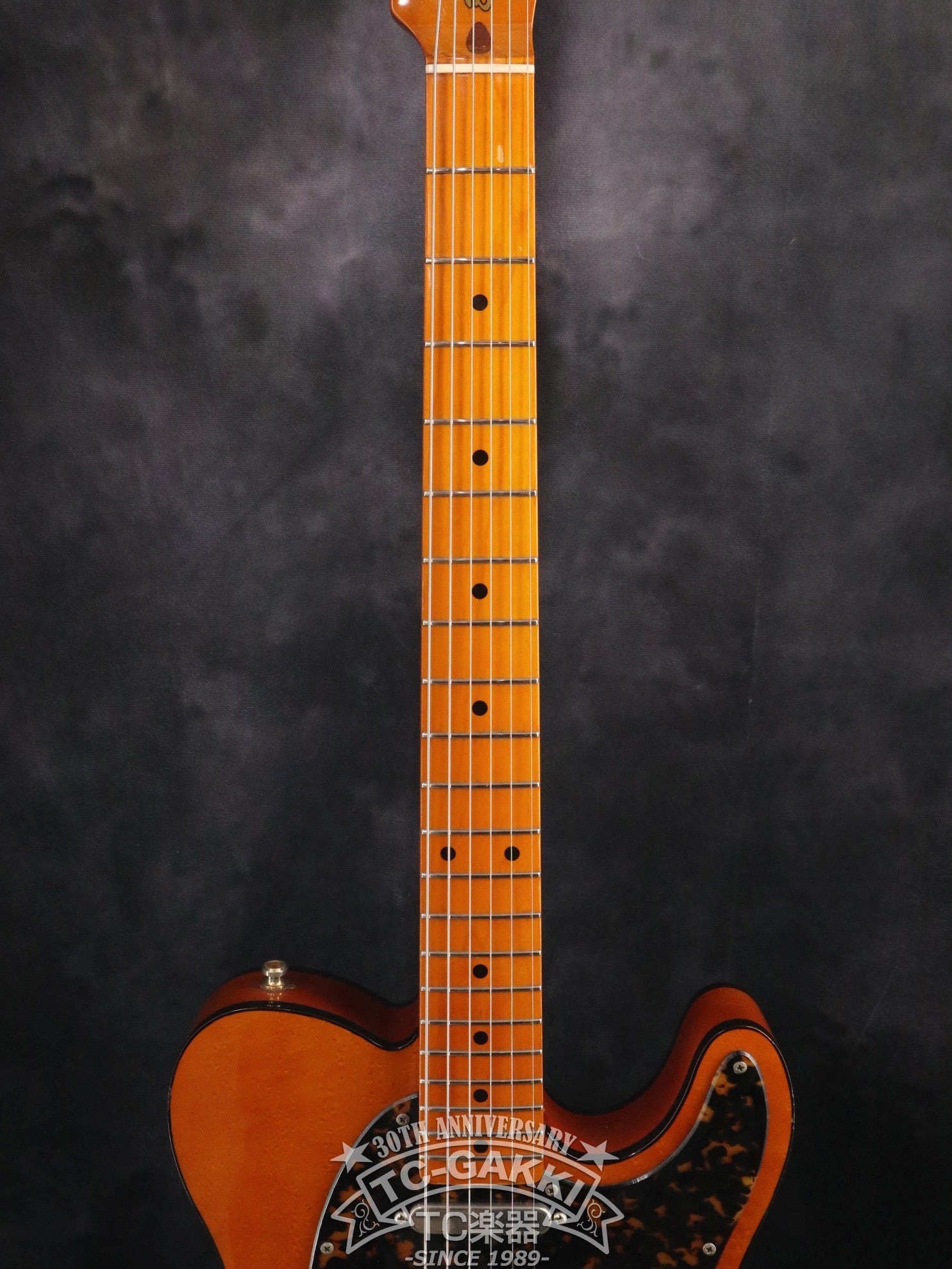 H.Sアンダーソン　MAD CAT H.S. Anderson HS-1 Mad Cat Guitar - Vintage Reissue Model v2