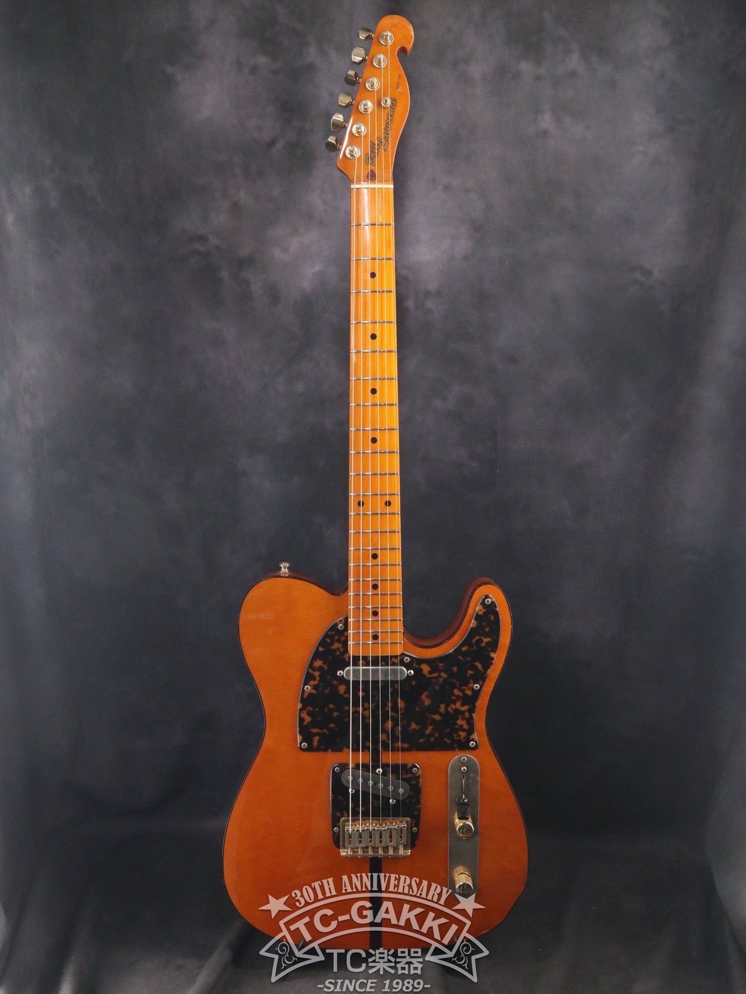 H.Sアンダーソン　MAD CAT H.S.Anderson 1970's Mad Cat - GUITAR TRADERS - ギター