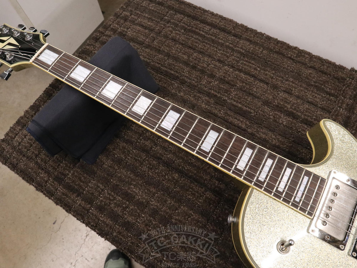 Burny RLC 3pickups - TC楽器 - TCGAKKI