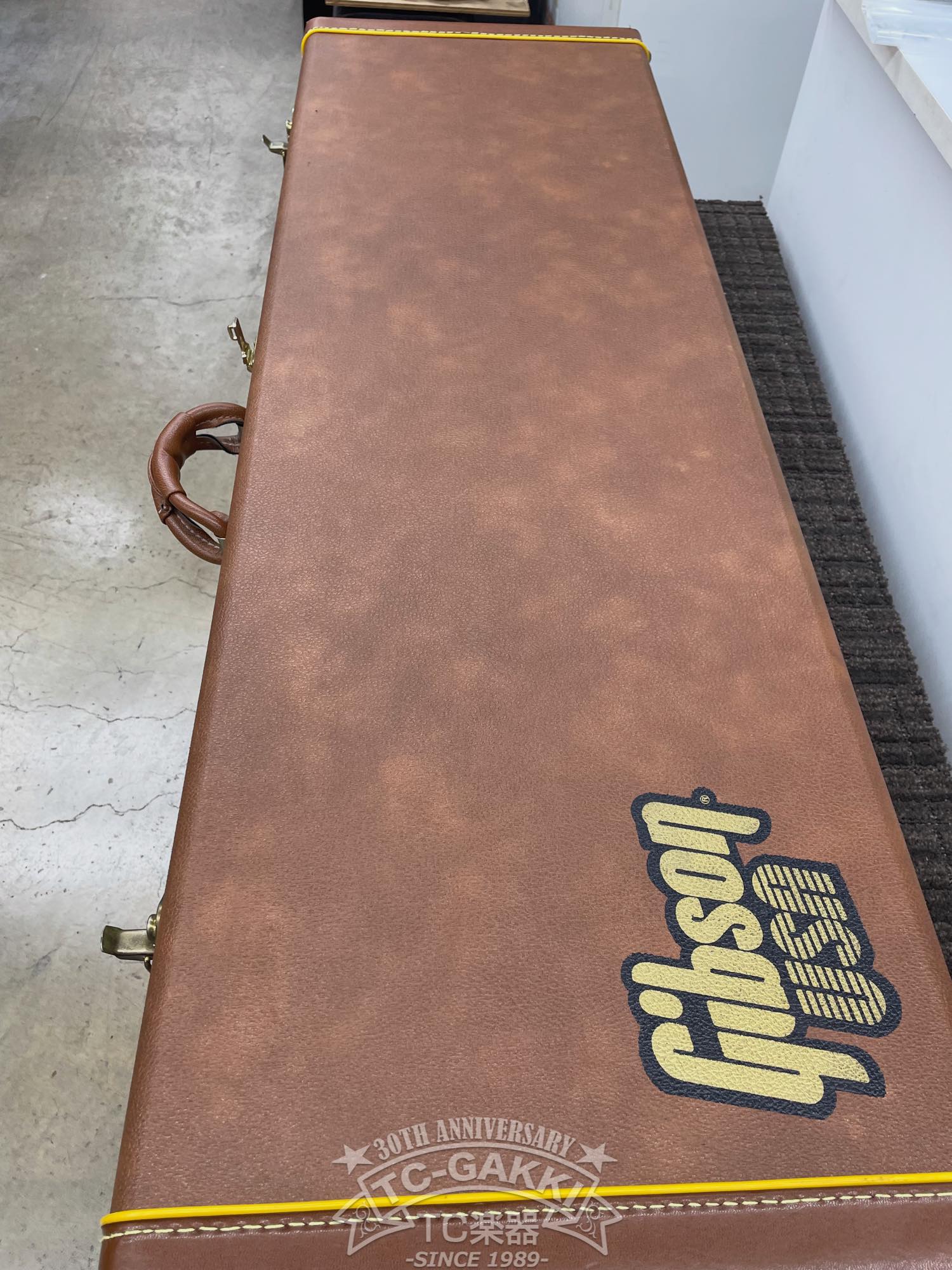 Gibson 2001 Thunderbird IV