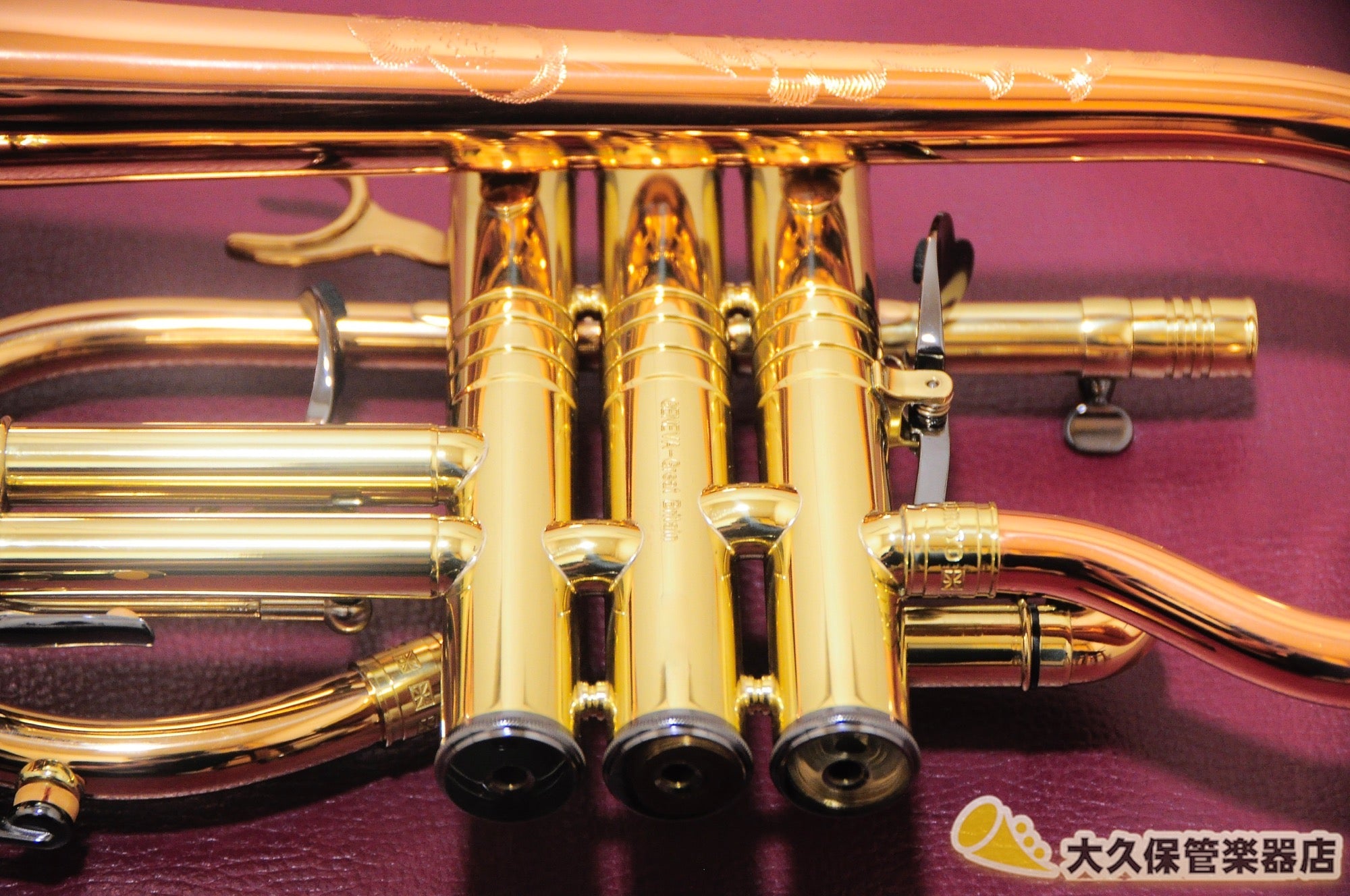ジェネヴァ Cardinal/E♭ Cornet-LAQ E♭コルネット(新品)
