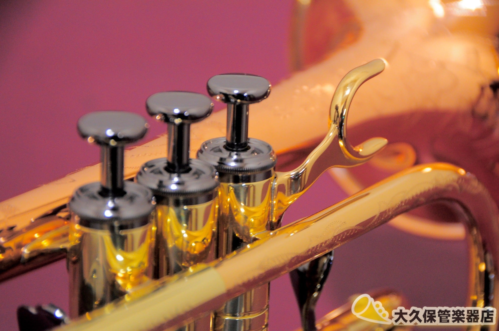 ジェネヴァ Cardinal/E♭ Cornet-LAQ E♭コルネット(新品) - TC楽器