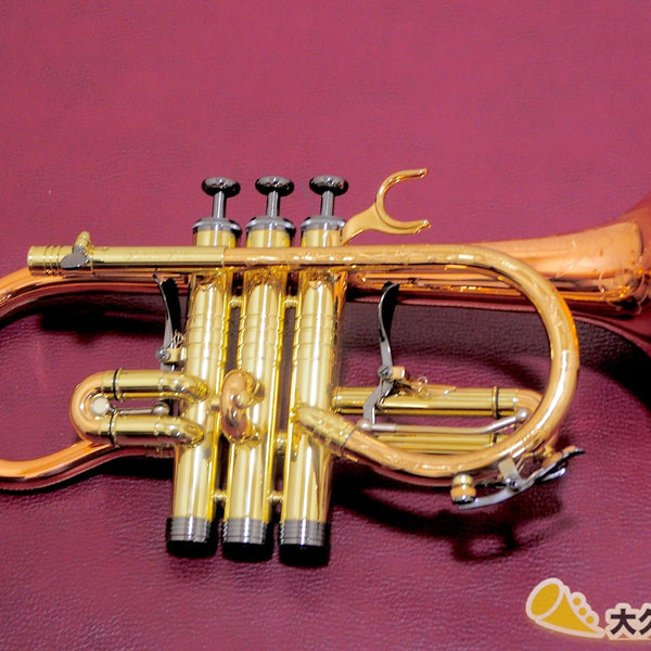 cardinale-cornet-laq-e-