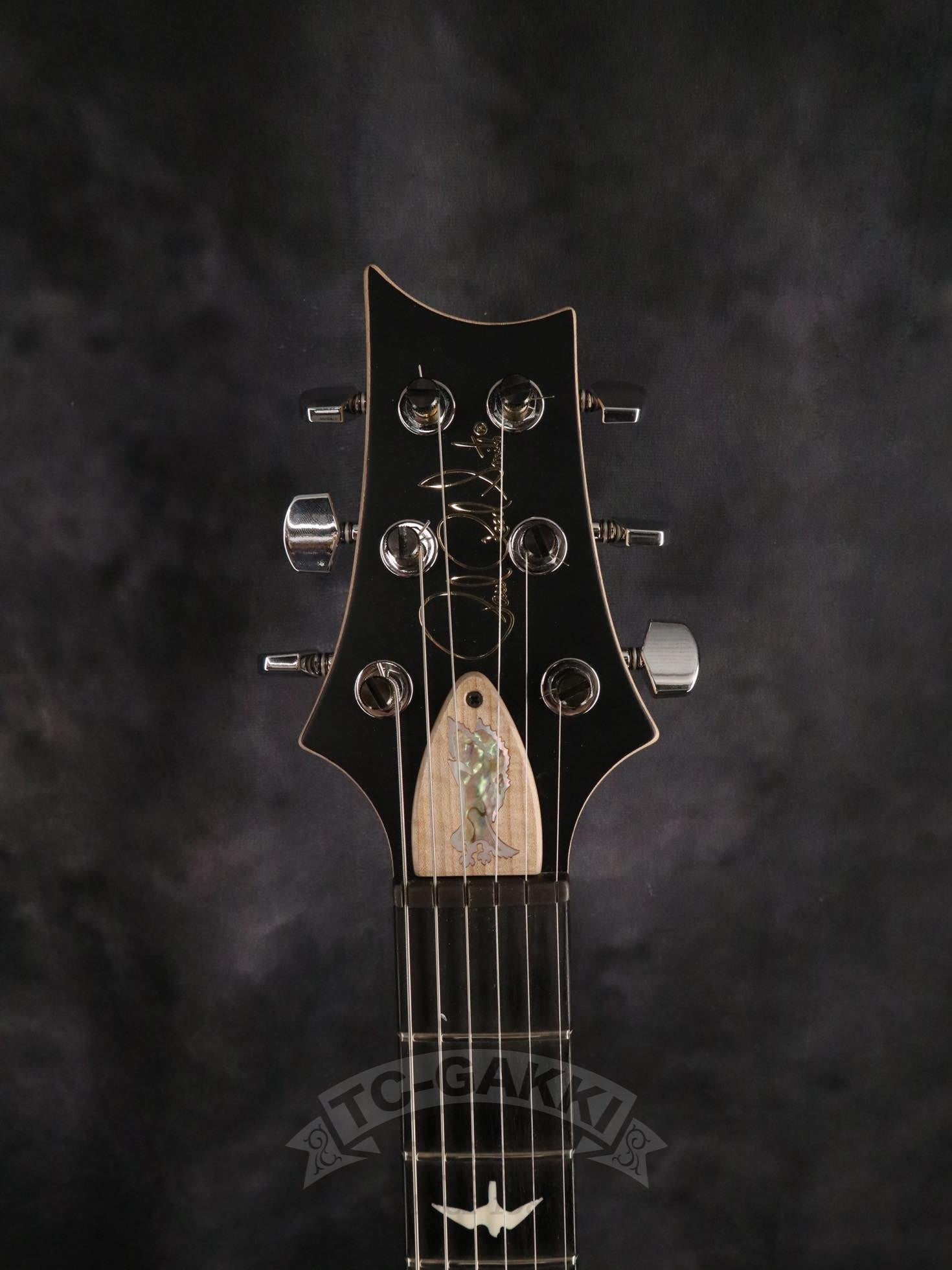 CE 24 Custom Configuration - TC楽器 - TCGAKKI