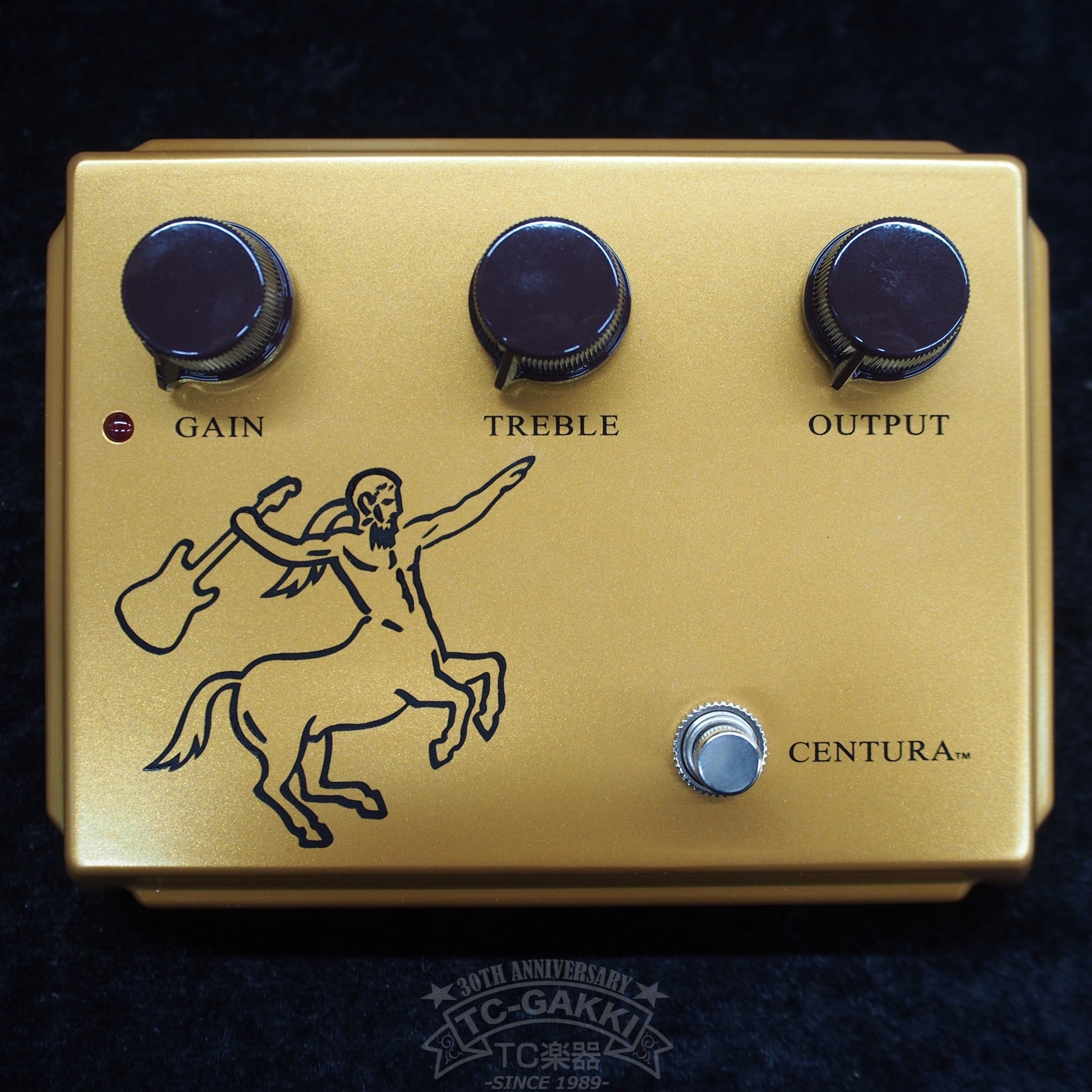 Centura Matte Gold Picture Early Ver. - TC楽器 - TCGAKKI