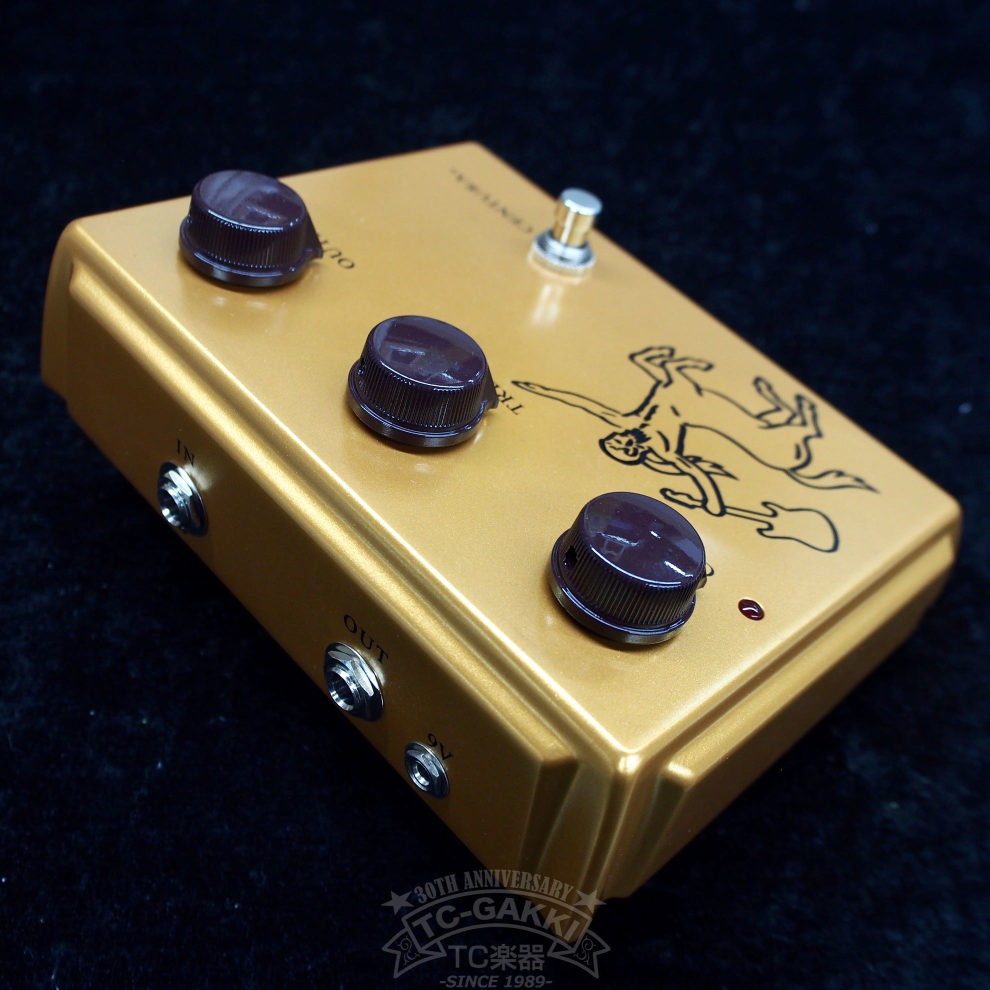 Centura Matte Gold Picture Early Ver. - TC楽器 - TCGAKKI