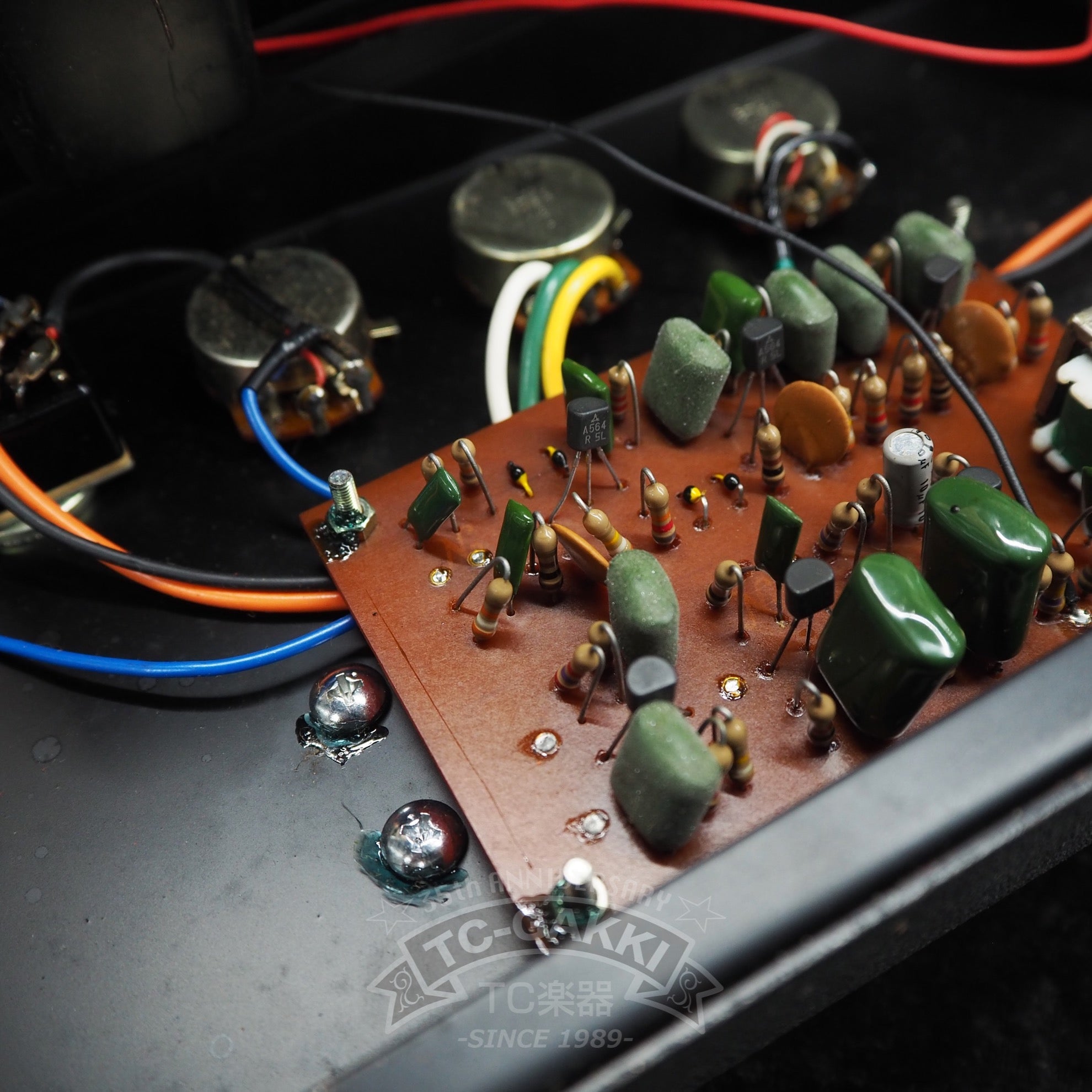 CF - 1 CRY FUZZ - TC楽器 - TCGAKKI