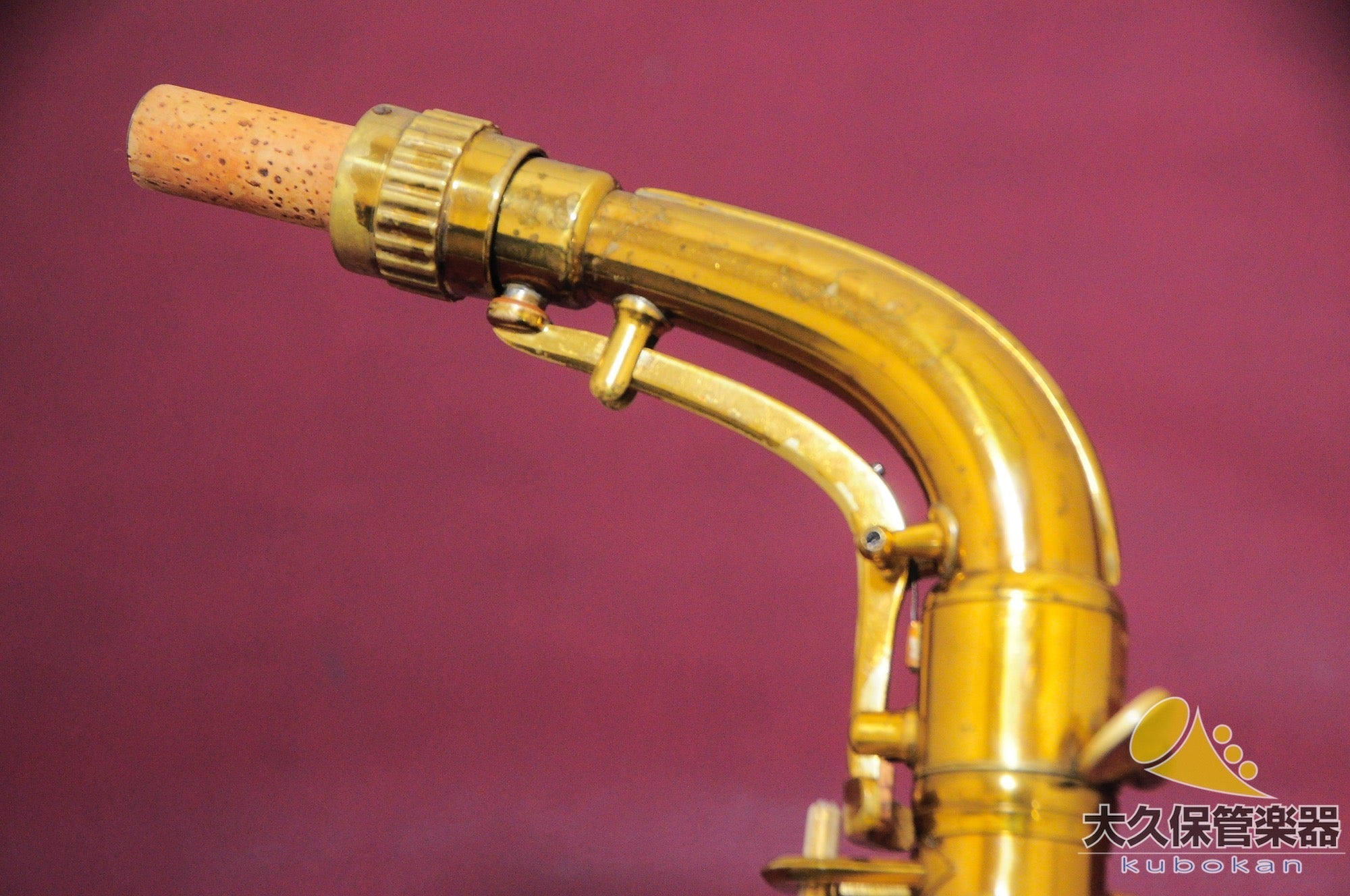 C.G.コーン “Naked Lady” 6M VIII Stamp アルトサクソフォン - TC楽器 - TCGAKKI