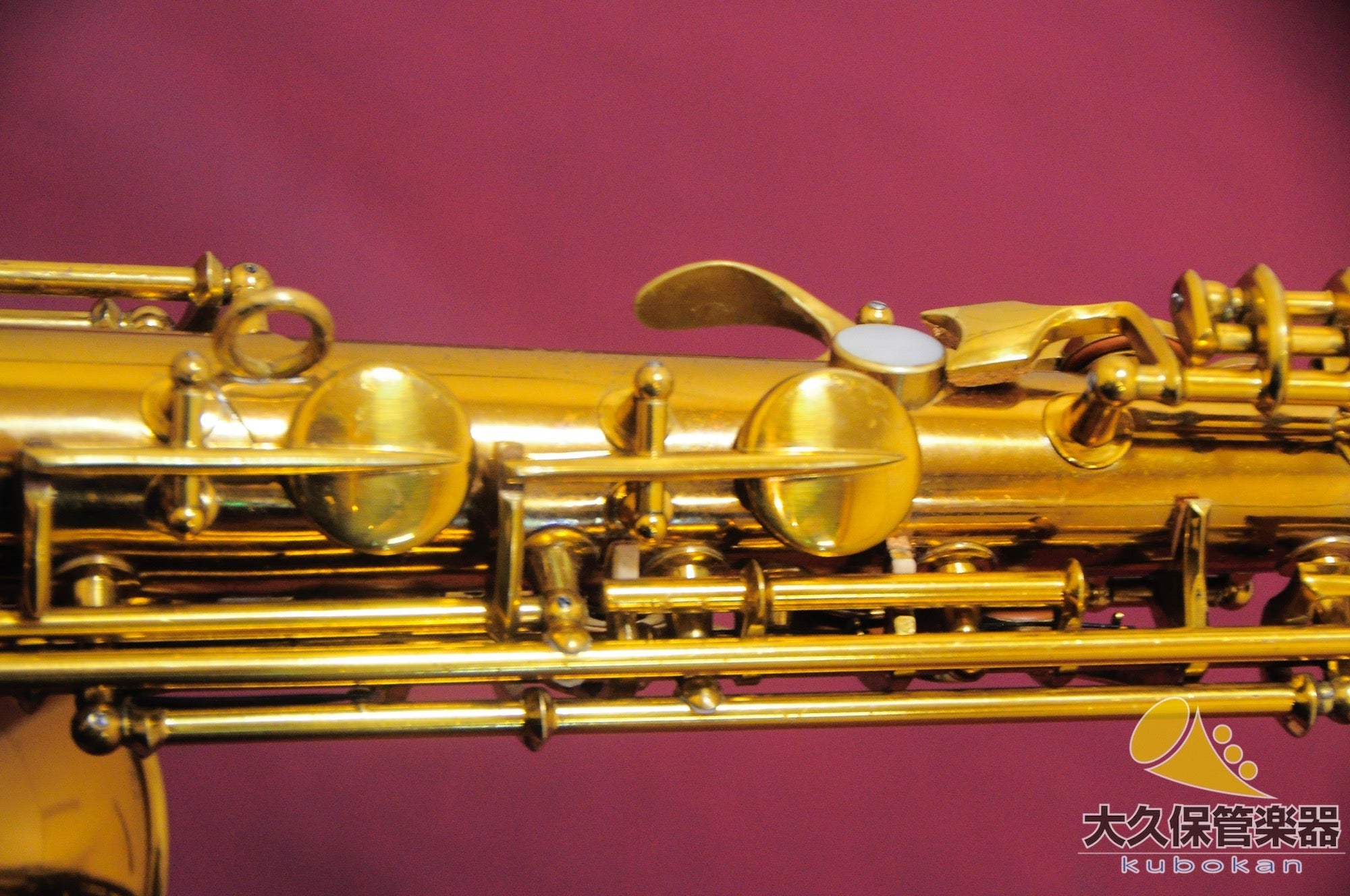 C.G.コーン “Naked Lady” 6M VIII Stamp アルトサクソフォン - TC楽器 - TCGAKKI