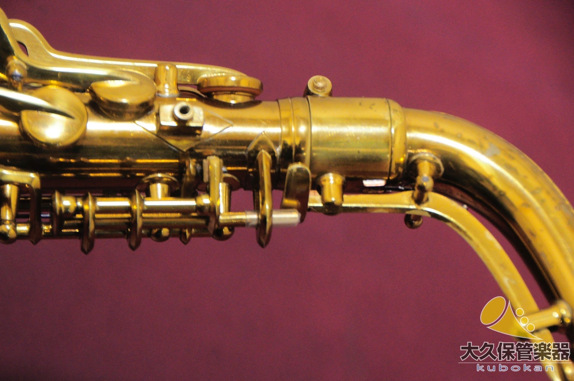 C.G.コーン “Naked Lady” 6M VIII Stamp アルトサクソフォン - TC楽器 - TCGAKKI