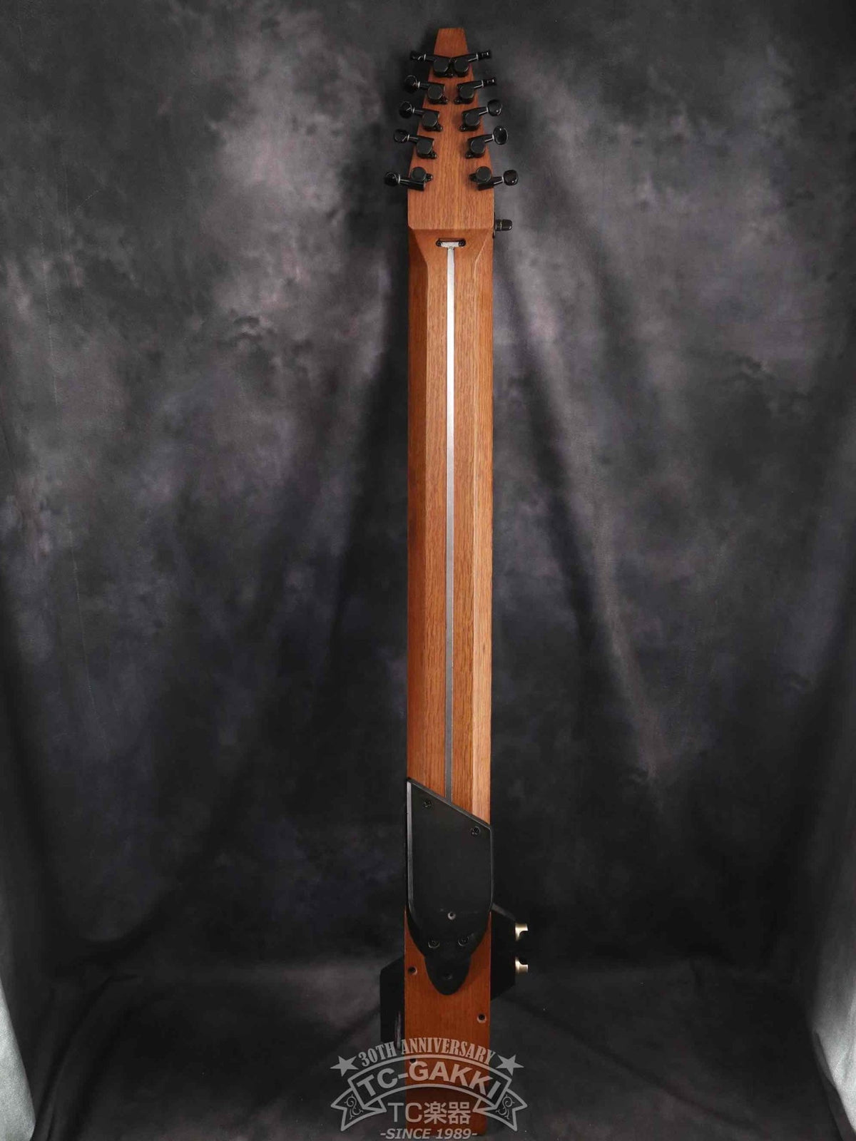 Chapman Stick The Stick 10 stirings - TC楽器 - TCGAKKI