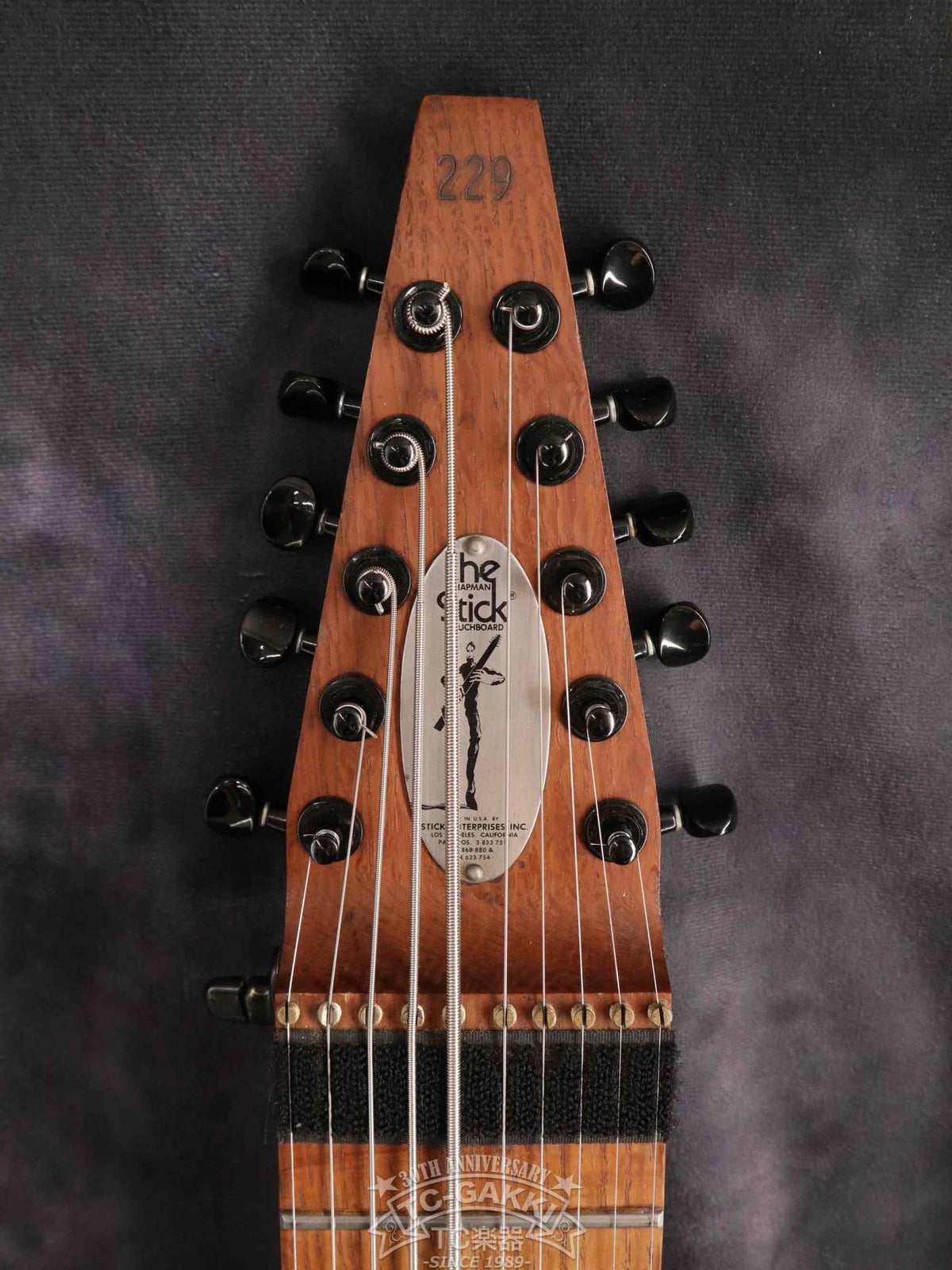 Chapman Stick The Stick 10 stirings - TC楽器 - TCGAKKI