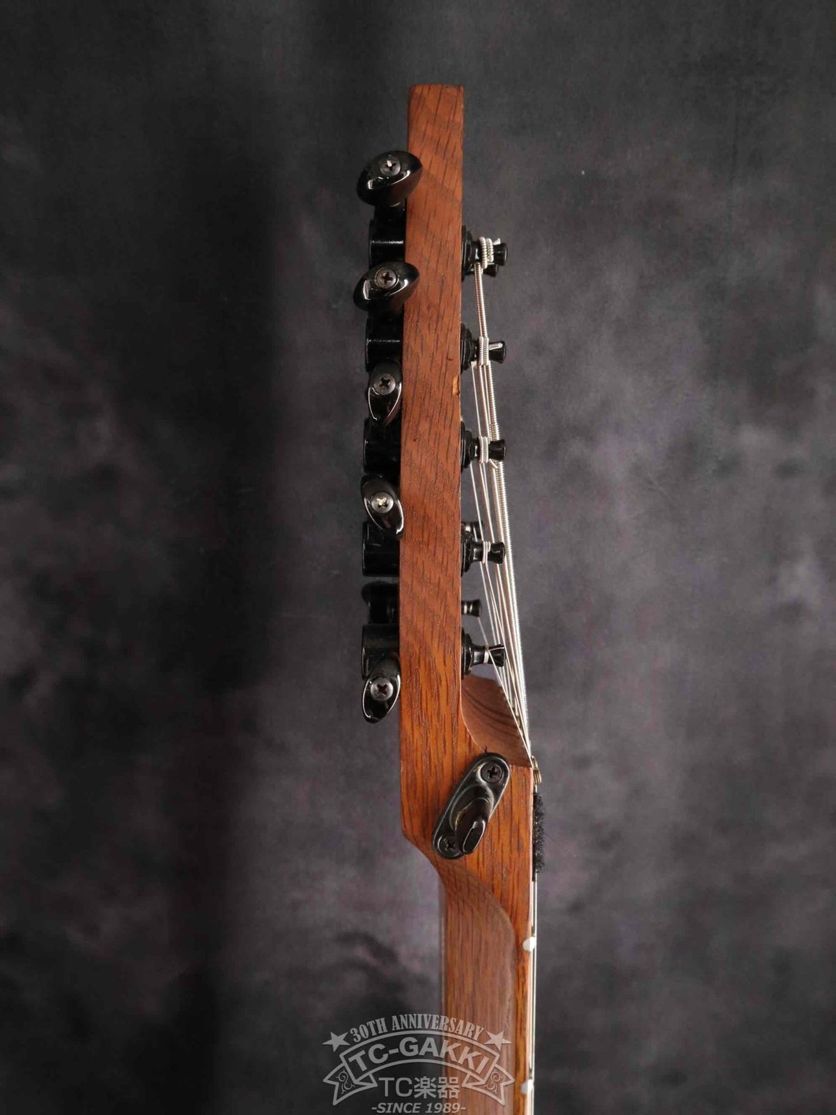 Chapman Stick The Stick 10 stirings - TC楽器 - TCGAKKI