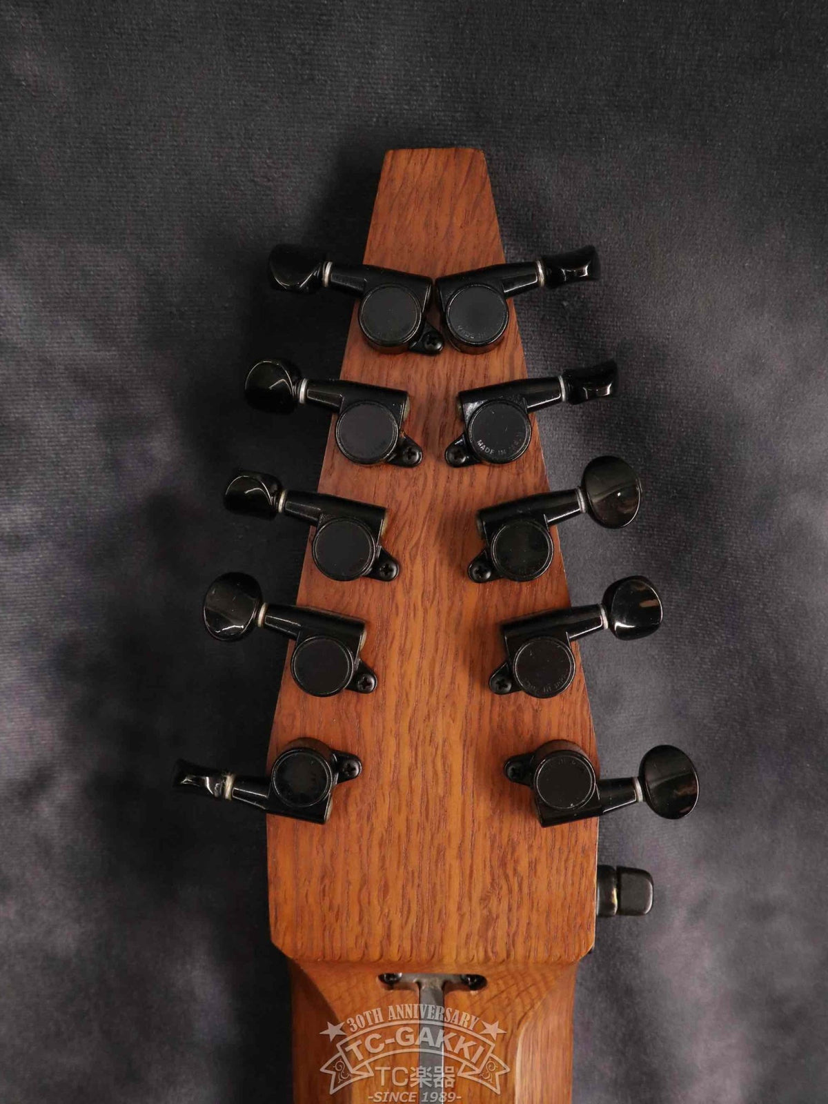 Chapman Stick The Stick 10 stirings - TC楽器 - TCGAKKI