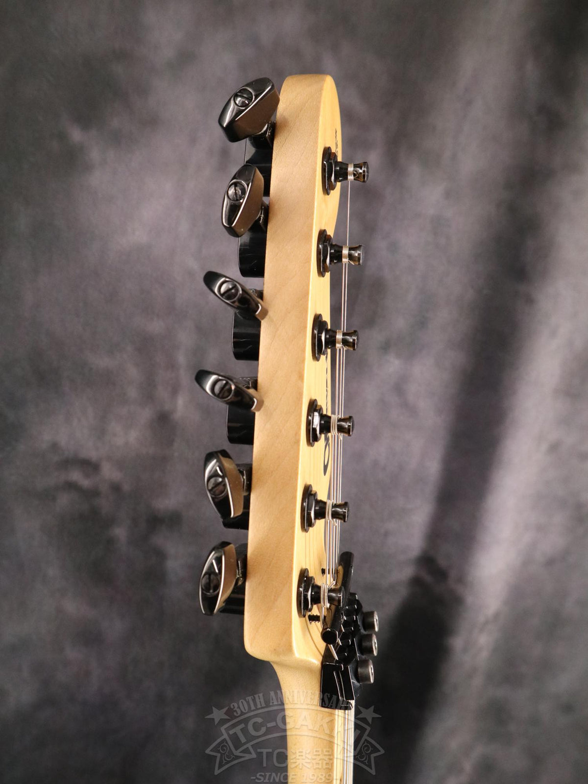 Charvel Custom Shop San Dimas 1H - TC楽器 - TCGAKKI