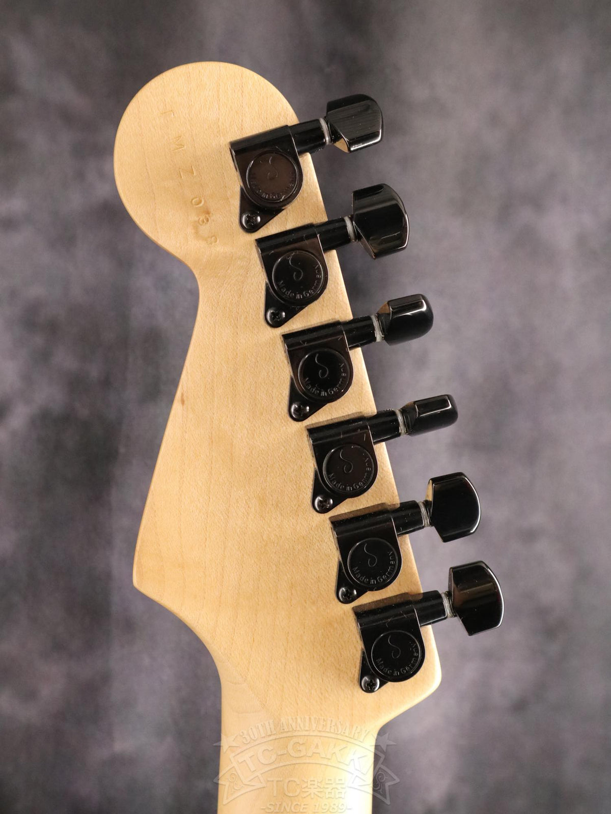 Charvel Custom Shop San Dimas 1H - TC楽器 - TCGAKKI
