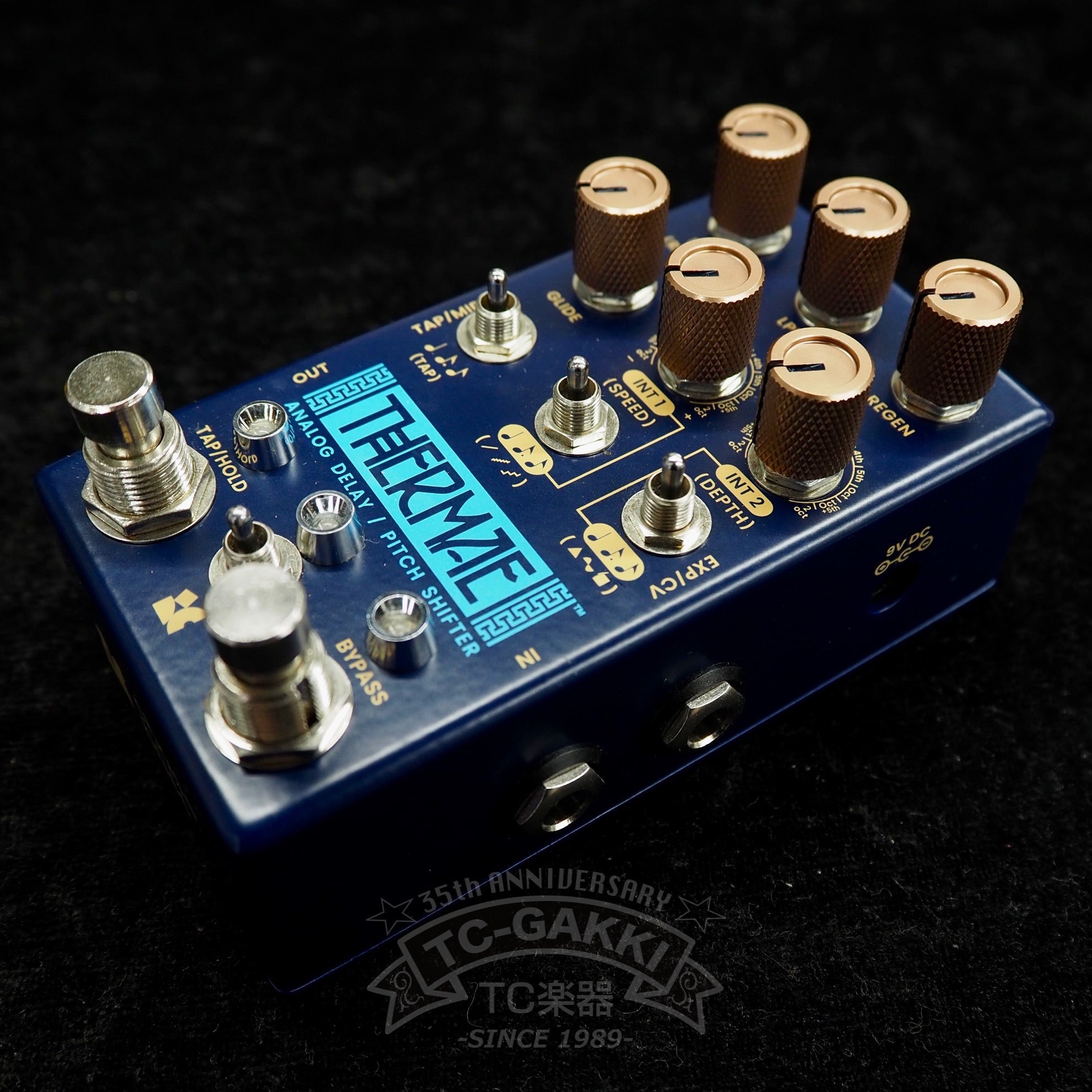 CHASE BLISS AUDIO THERMAE ANALOG DELAY/PITCH SHIFTER - TC楽器 - TCGAKKI