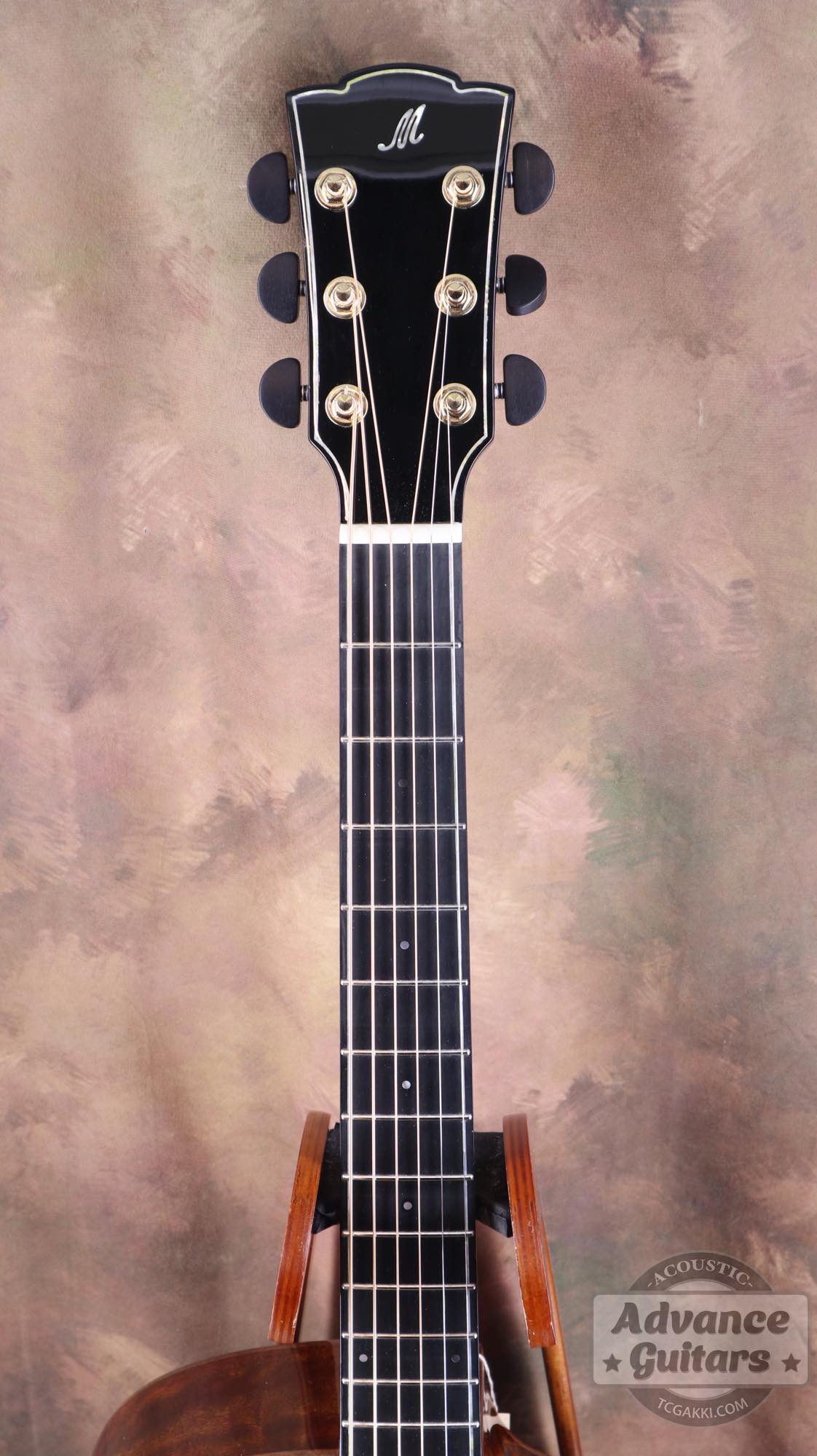 【新品】COBRA - EQ - TC楽器 - TCGAKKI