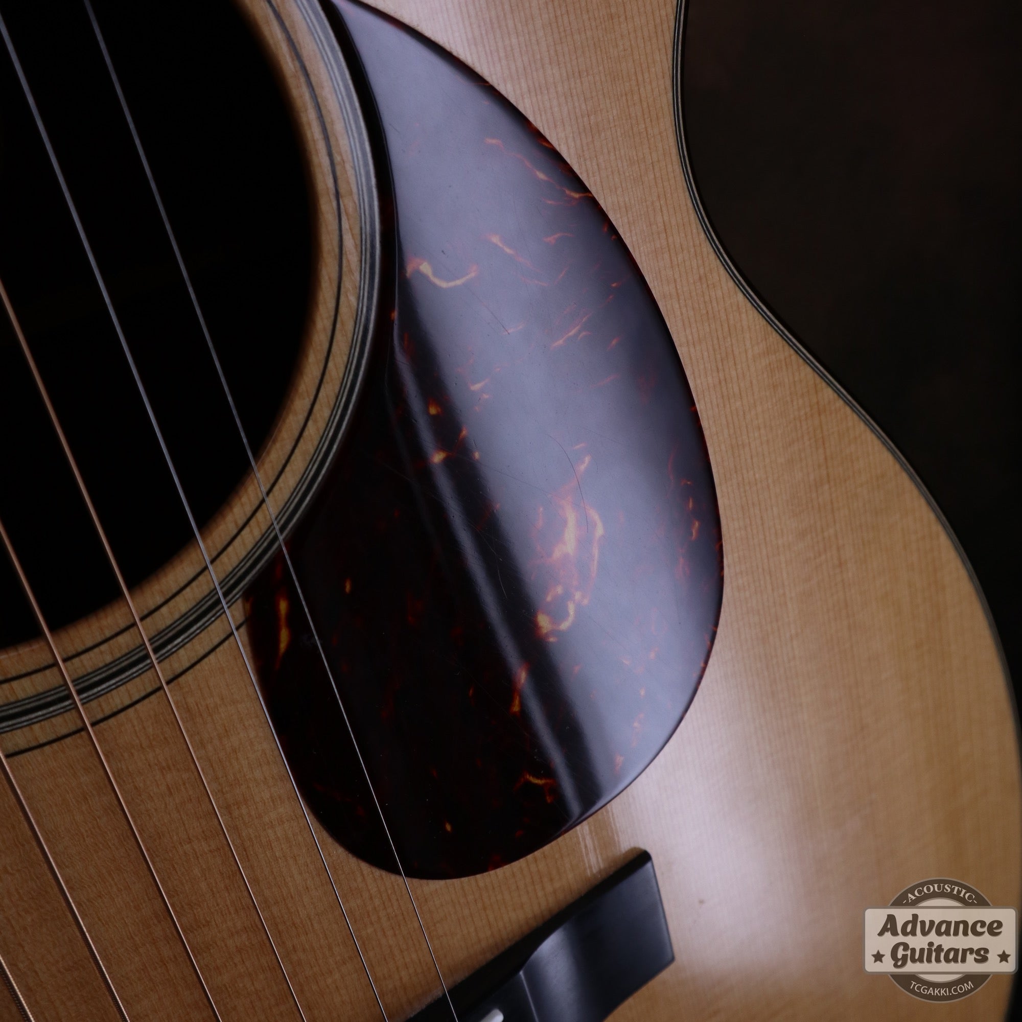 Collings 2013年製 OM1 - TC楽器 - TCGAKKI