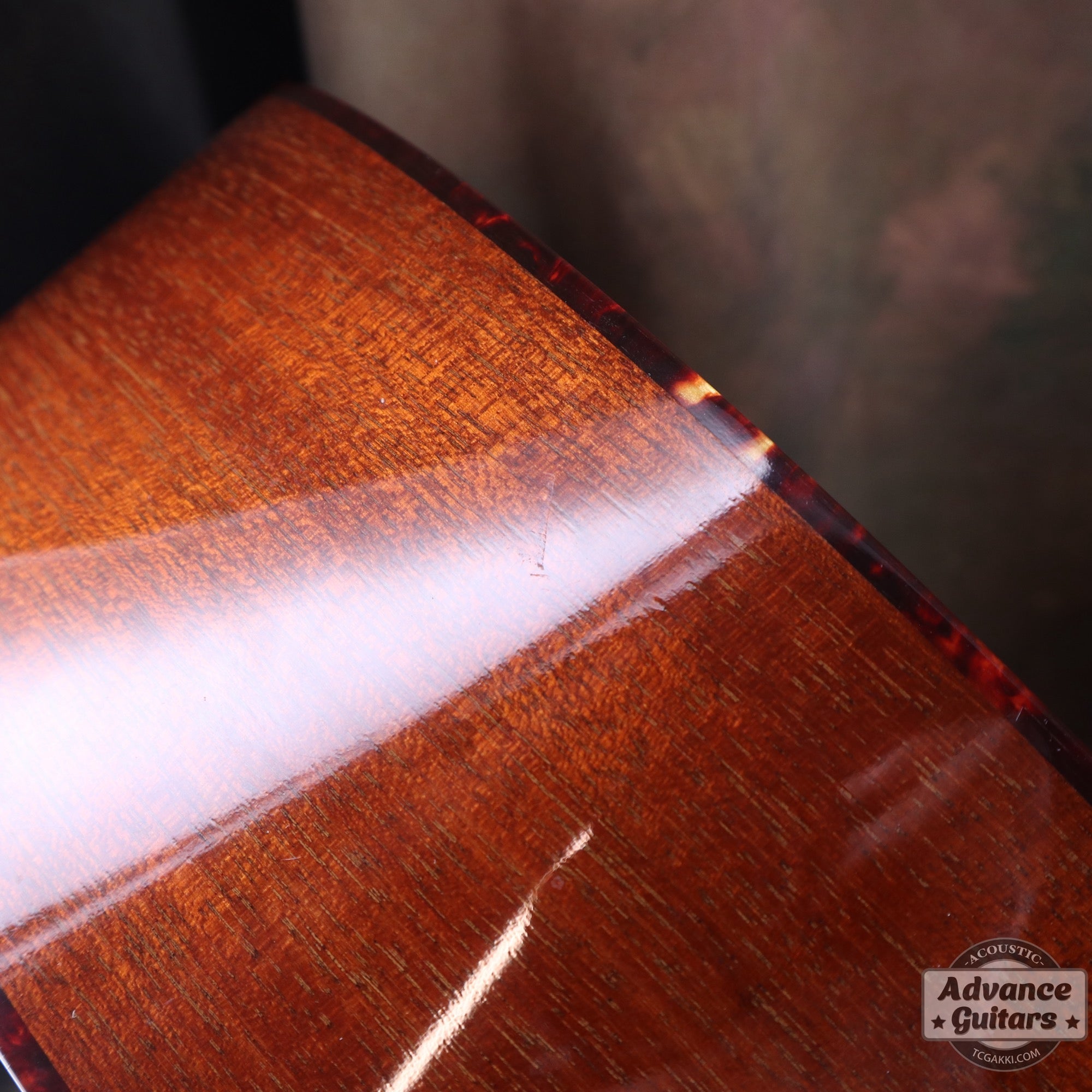 Collings 2013年製 OM1 - TC楽器 - TCGAKKI