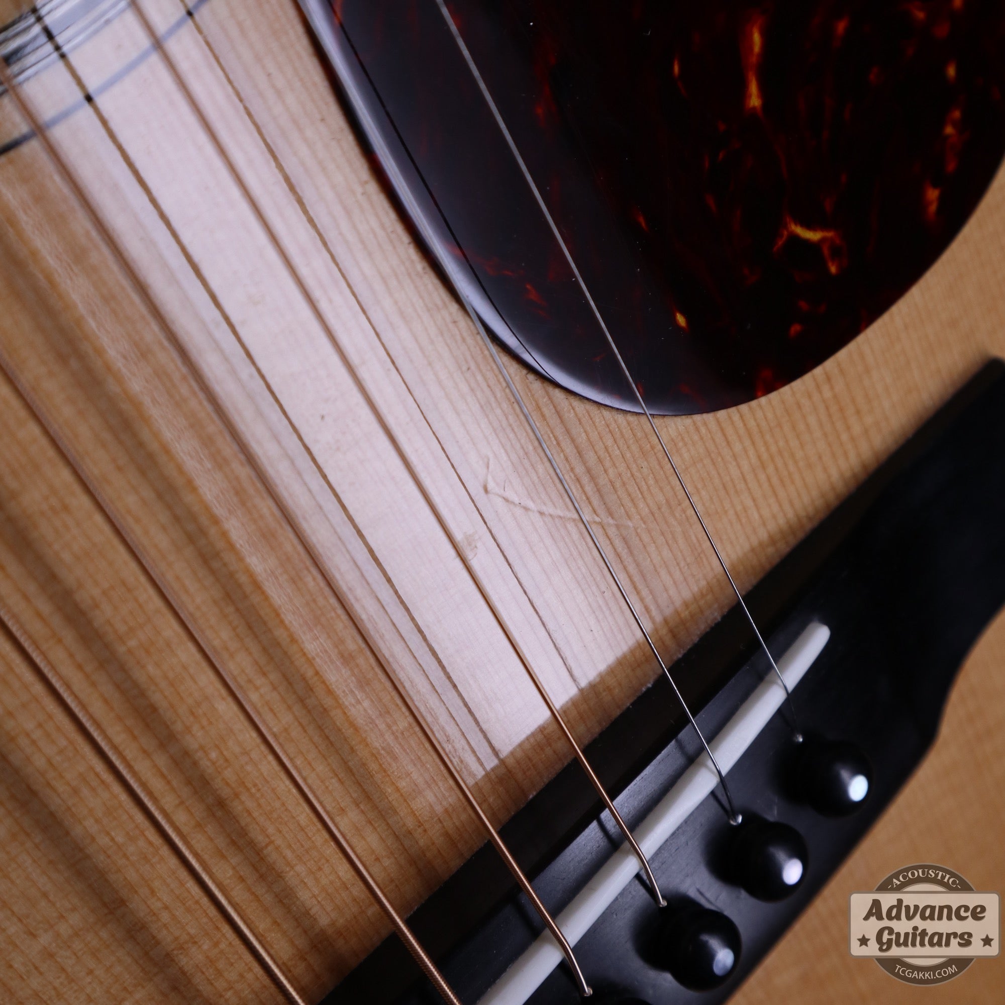Collings 2013年製 OM1 - TC楽器 - TCGAKKI