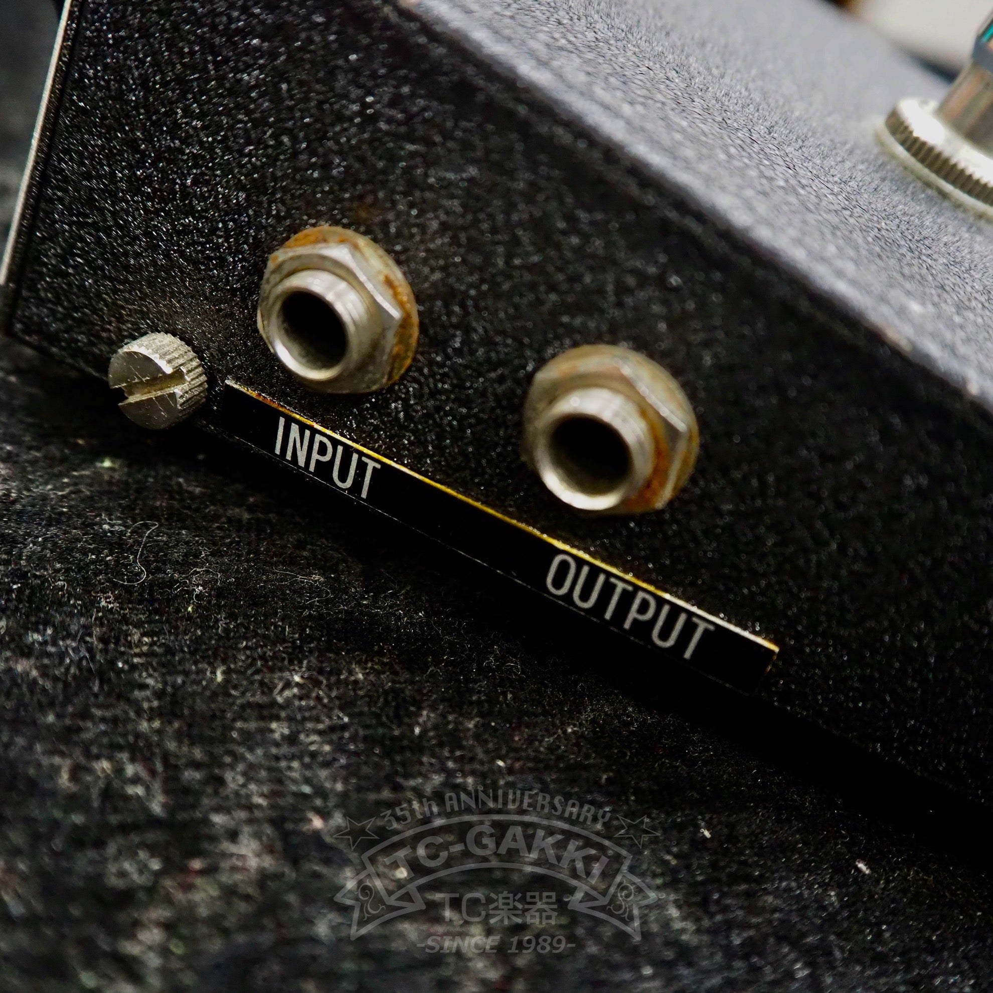 “Companion” Fuzz Master Model FY - 2 - TC楽器 - TCGAKKI