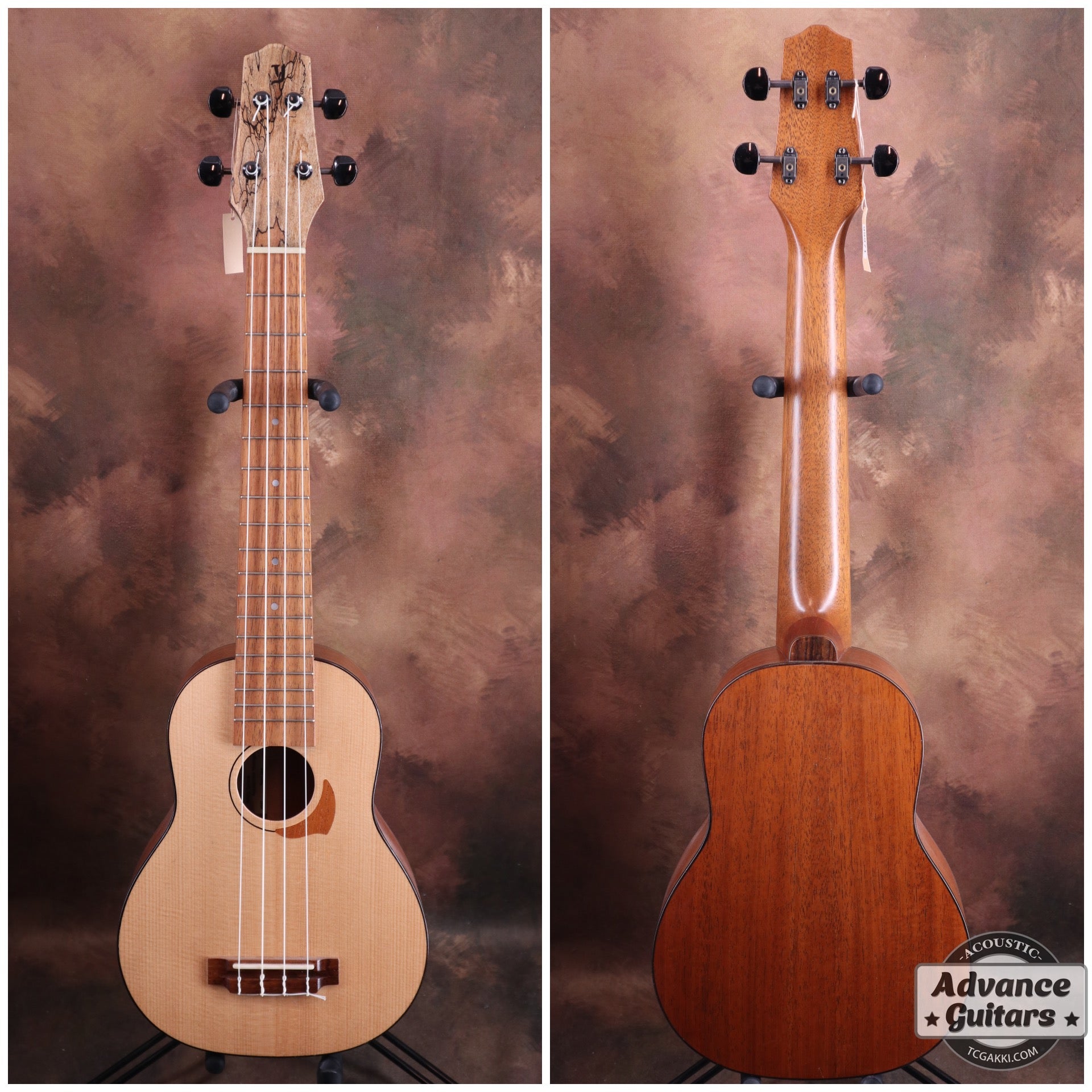 Concert Long Neck White Spruce / Aqua Timber Mahogany - TC楽器 - TCGAKKI