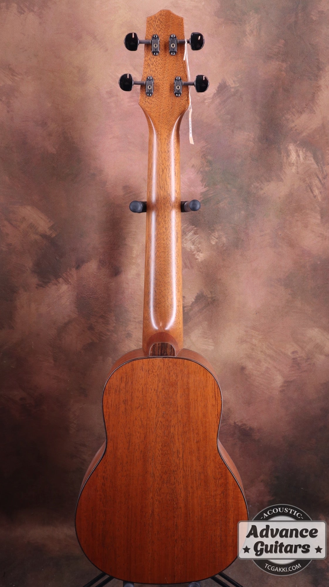 Concert Long Neck White Spruce / Aqua Timber Mahogany - TC楽器 - TCGAKKI