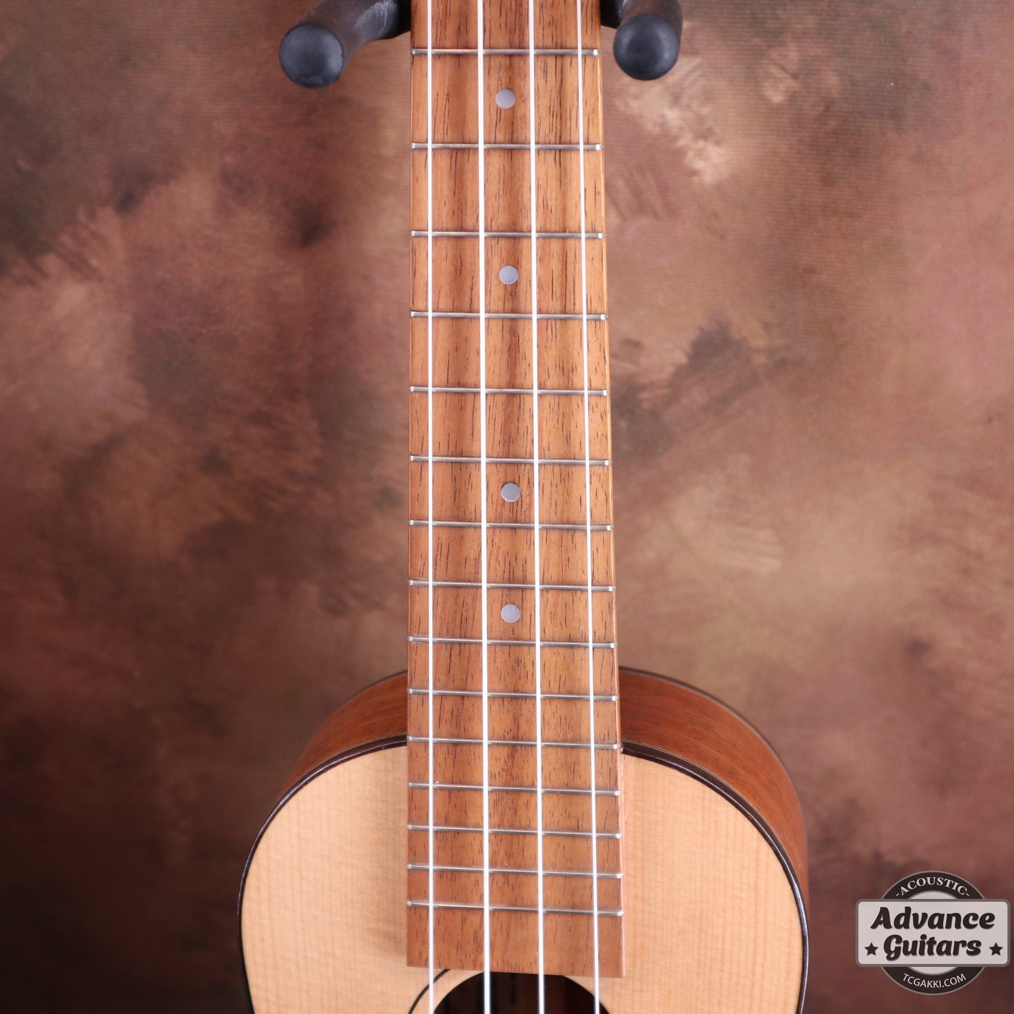 【年末セール】Concert Long Neck White Spruce / Aqua Timber Mahogany - TC楽器 - TCGAKKI