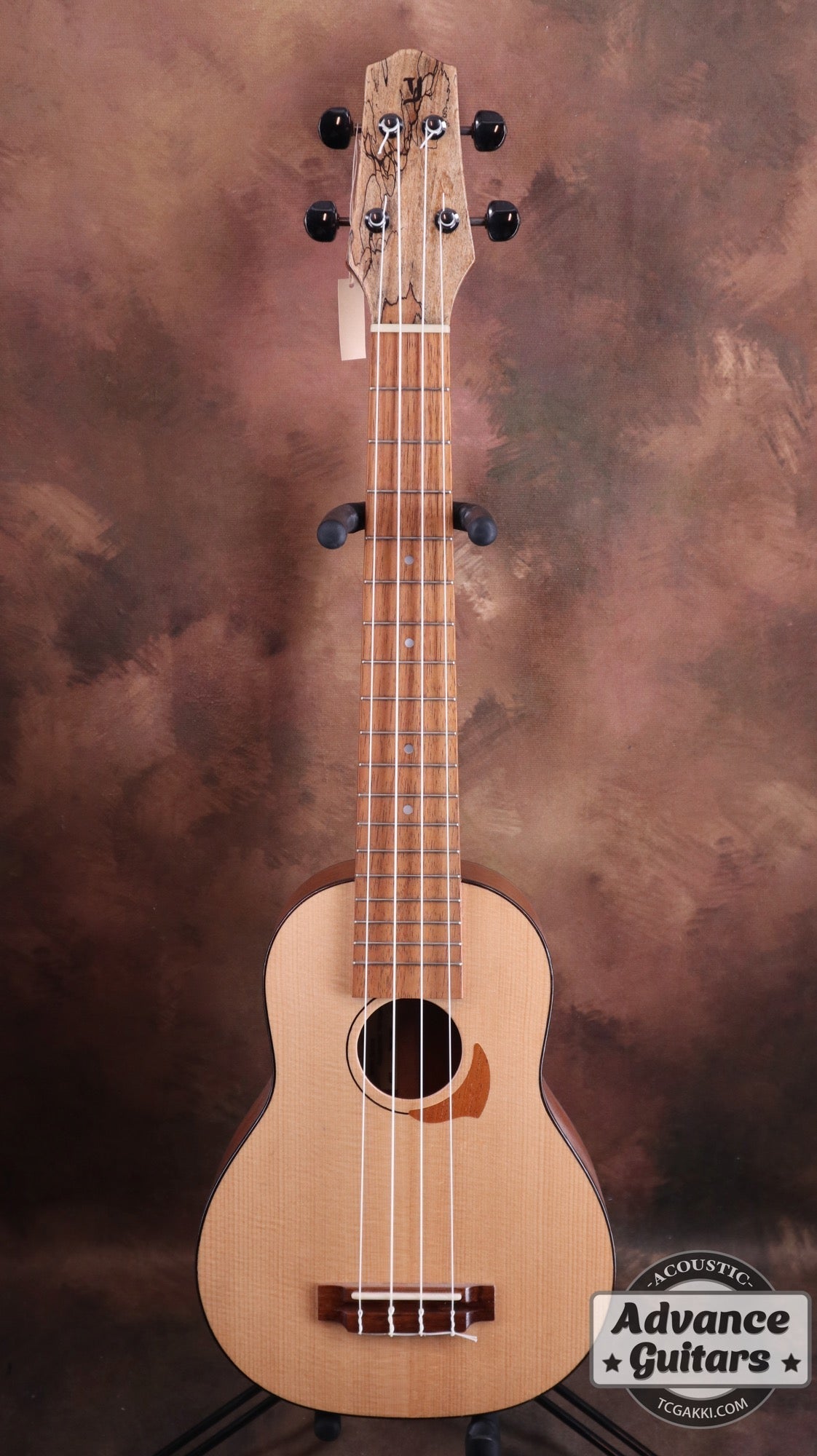 【年末セール】Concert Long Neck White Spruce / Aqua Timber Mahogany - TC楽器 - TCGAKKI