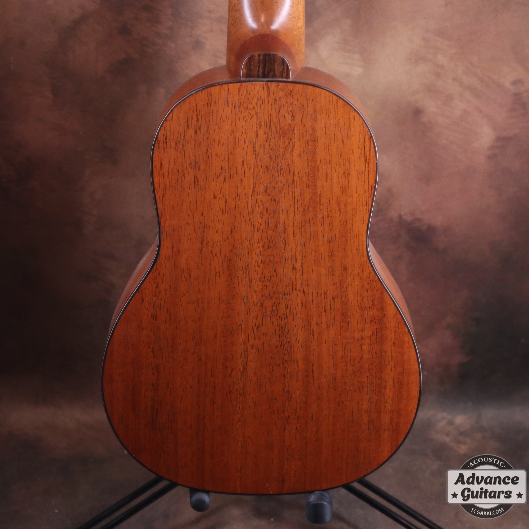 【年末セール】Concert Long Neck White Spruce / Aqua Timber Mahogany - TC楽器 - TCGAKKI