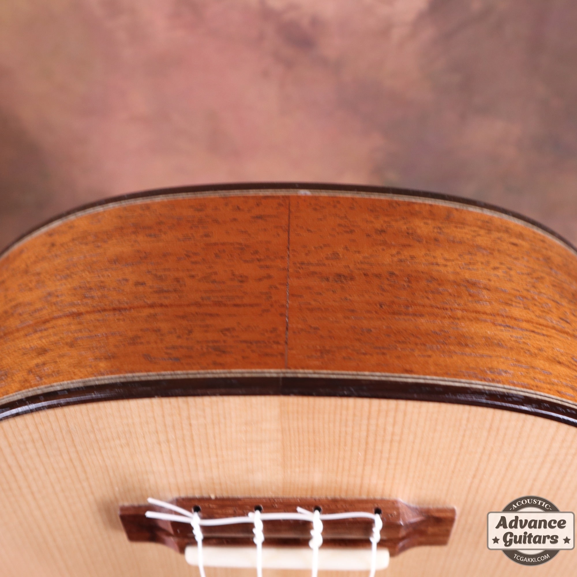 【年末セール】Concert Long Neck White Spruce / Aqua Timber Mahogany - TC楽器 - TCGAKKI