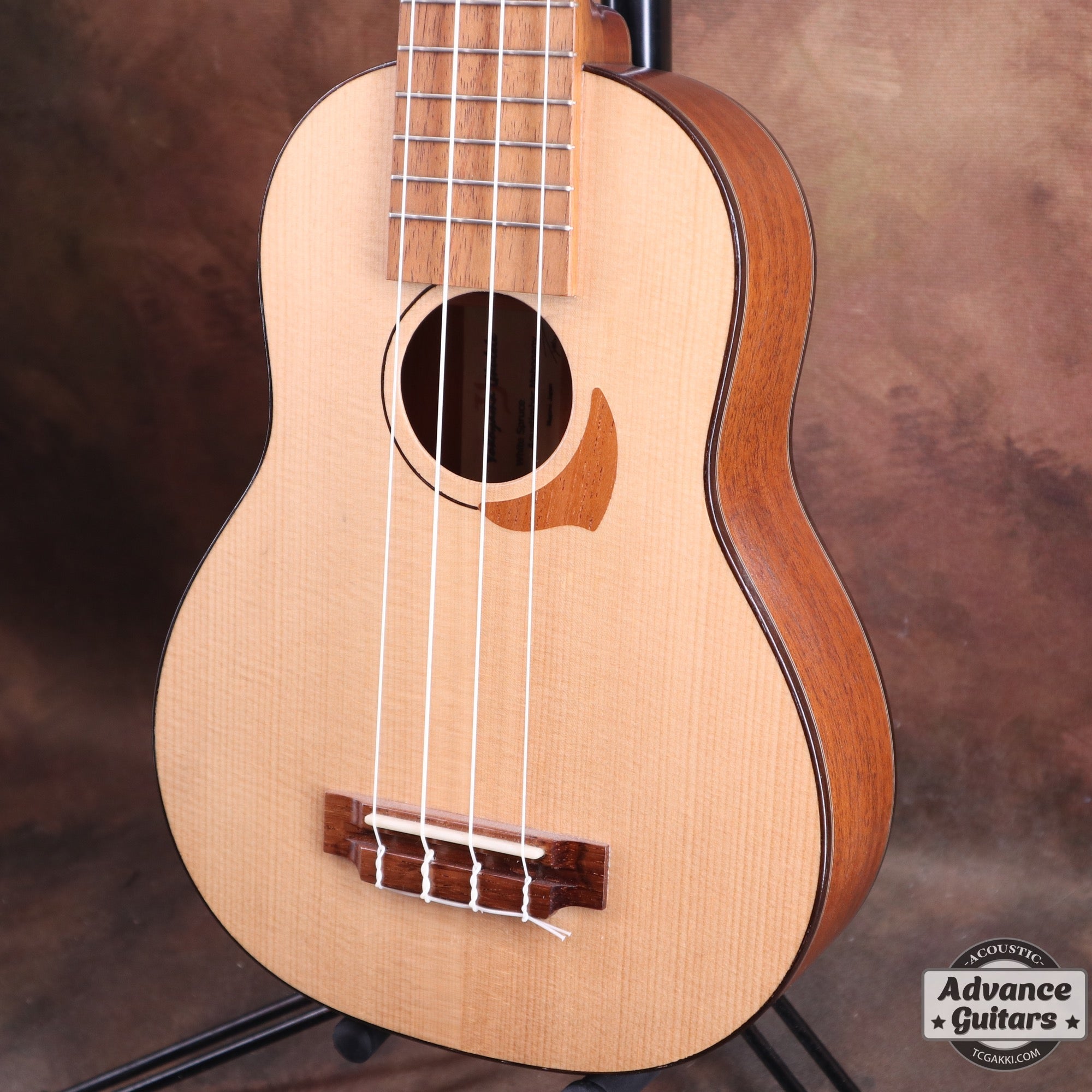 【年末セール】Concert Long Neck White Spruce / Aqua Timber Mahogany - TC楽器 - TCGAKKI