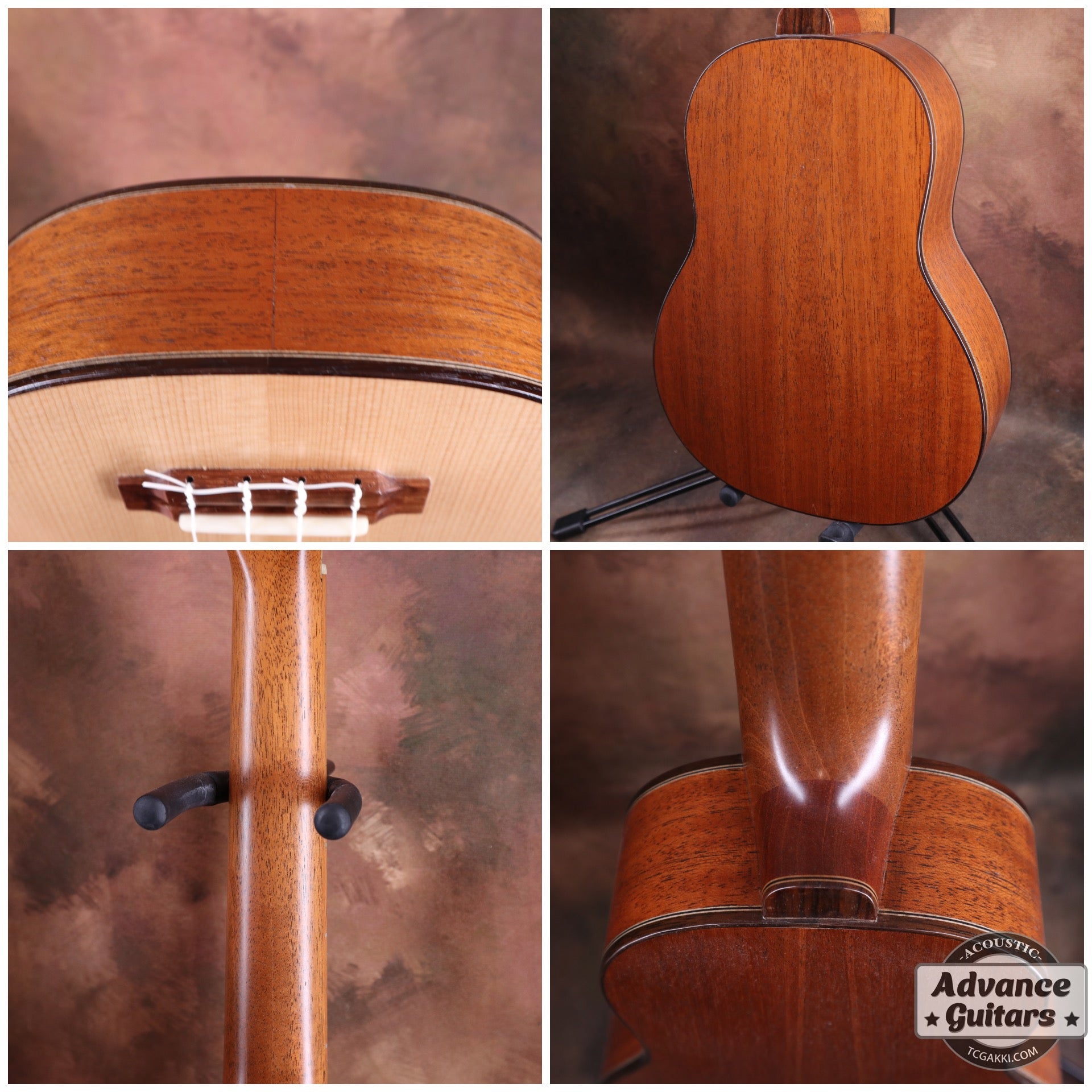 【年末セール】Concert Long Neck White Spruce / Aqua Timber Mahogany - TC楽器 - TCGAKKI