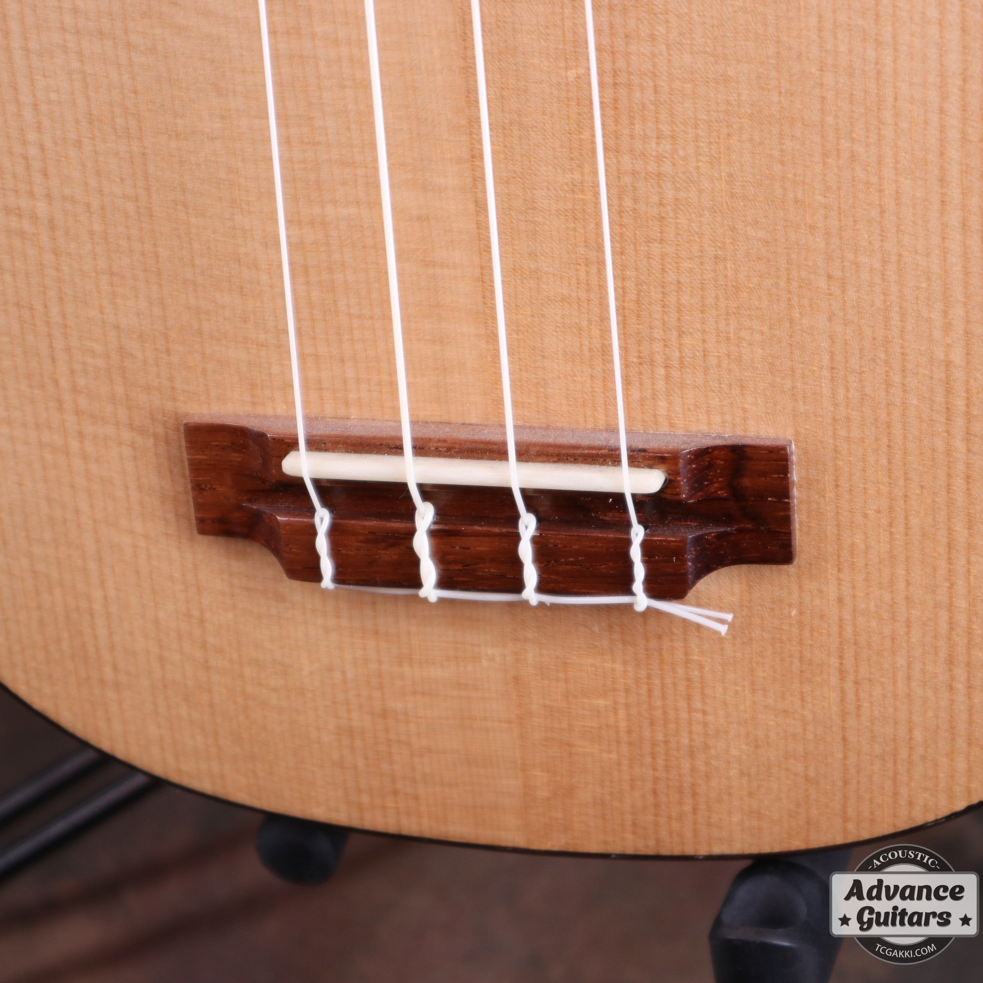 【年末セール】Concert Long Neck White Spruce / Aqua Timber Mahogany - TC楽器 - TCGAKKI