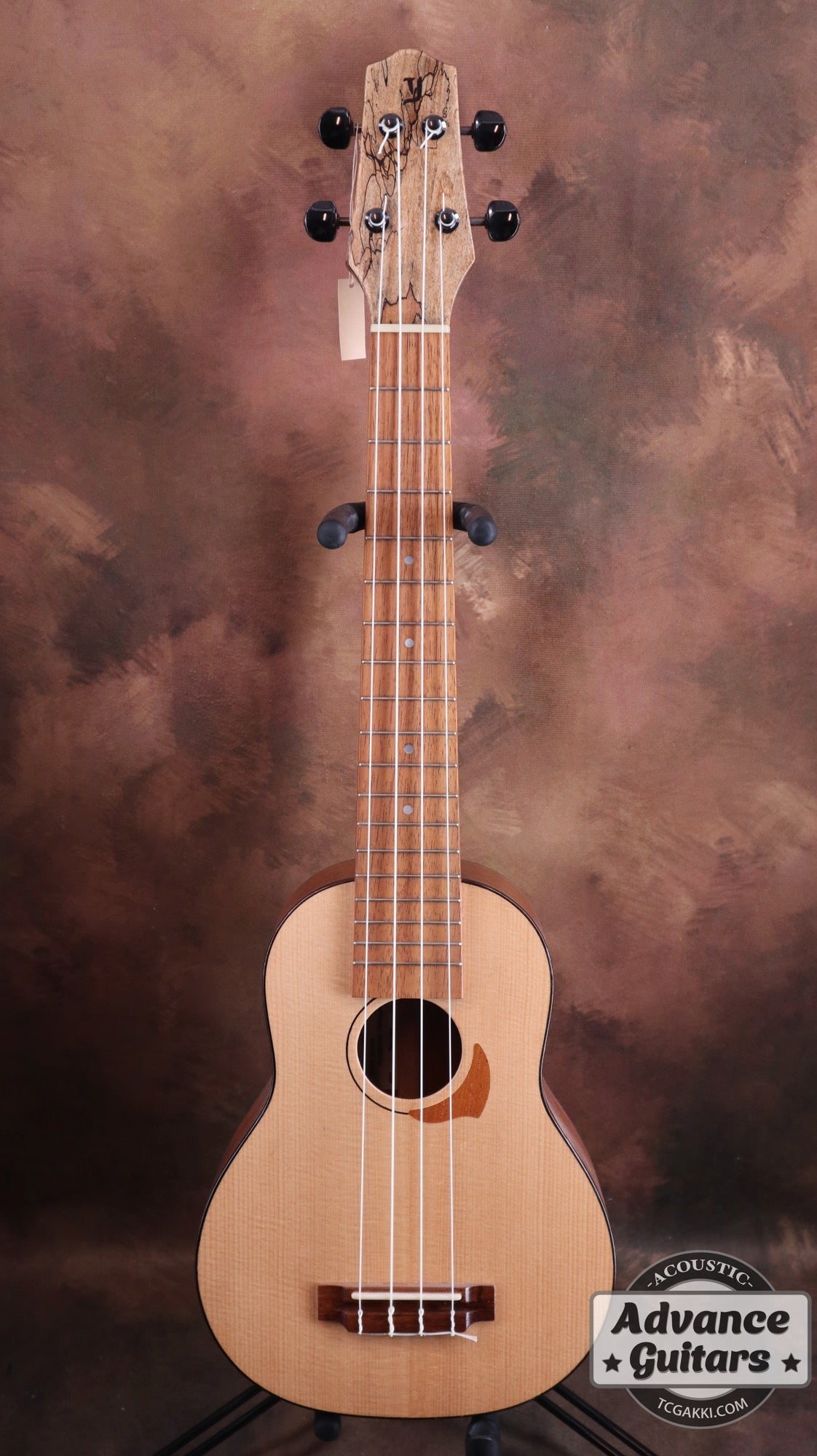 Concert Long Neck White Spruce / Aqua Timber Mahogany - TC楽器 - TCGAKKI