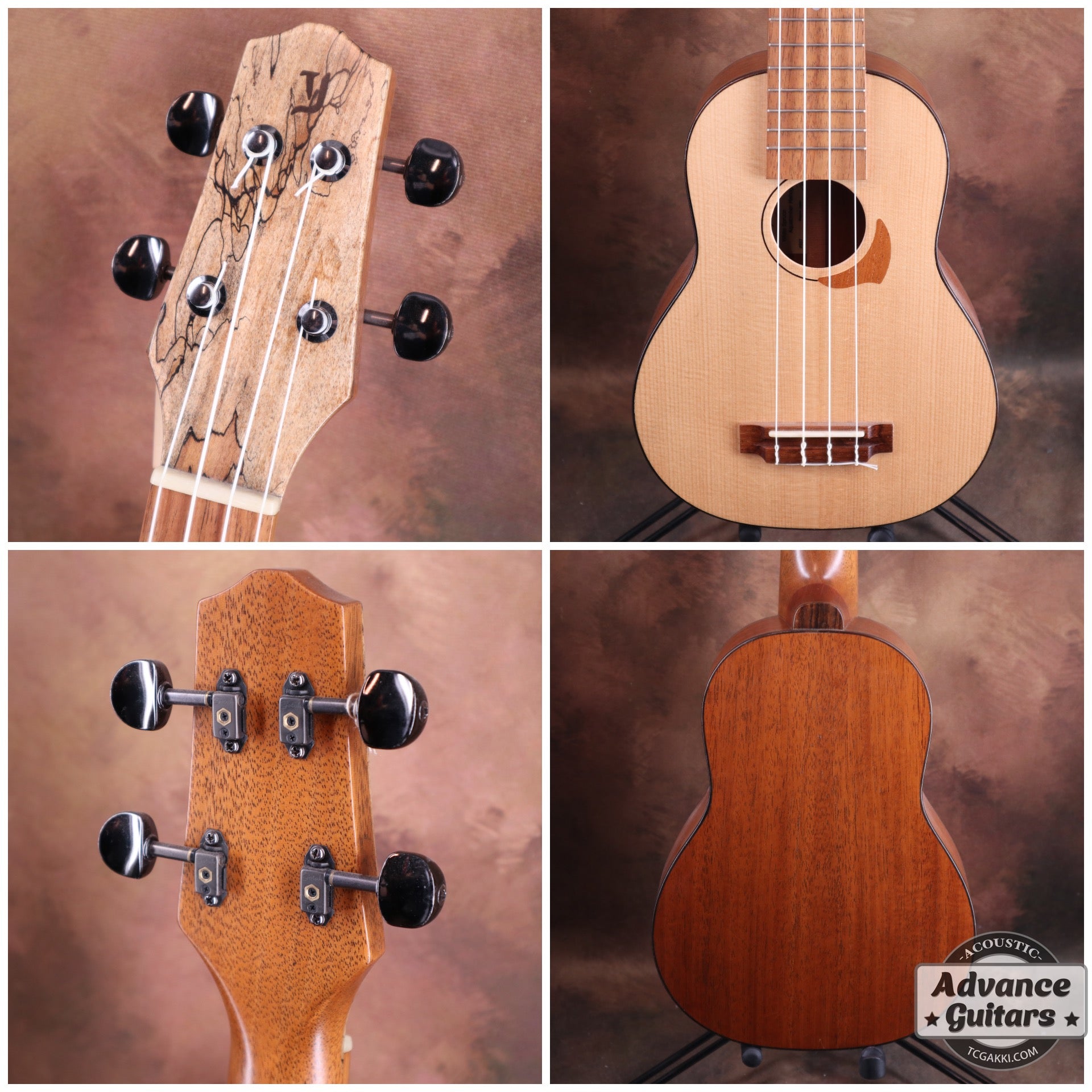 【年末セール】Concert Long Neck White Spruce / Aqua Timber Mahogany - TC楽器 - TCGAKKI