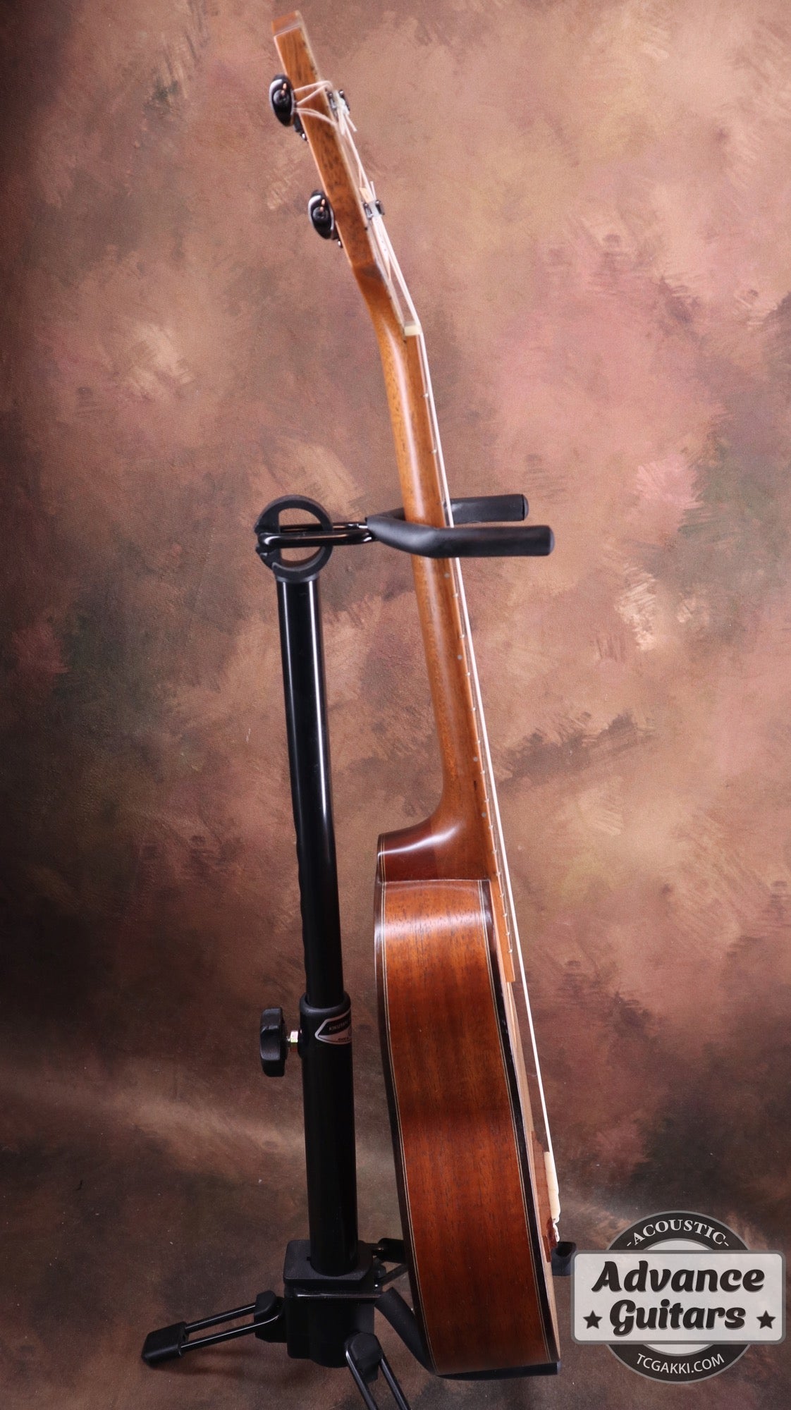 【年末セール】Concert Long Neck White Spruce / Aqua Timber Mahogany - TC楽器 - TCGAKKI