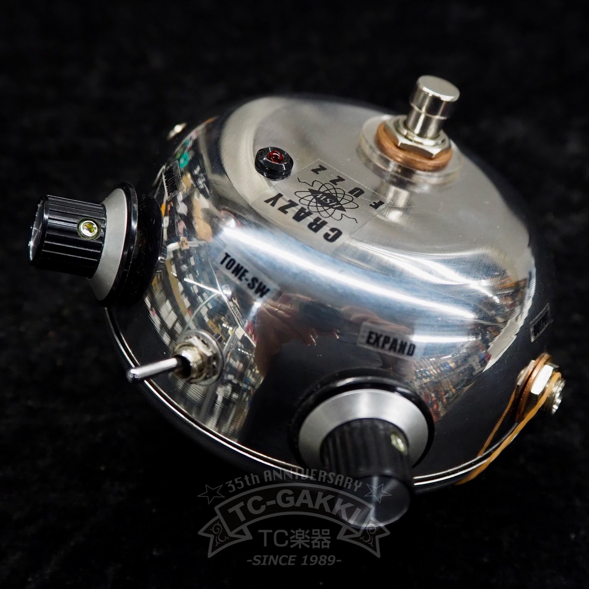 CRAZY FUZZ - TC楽器 - TCGAKKI