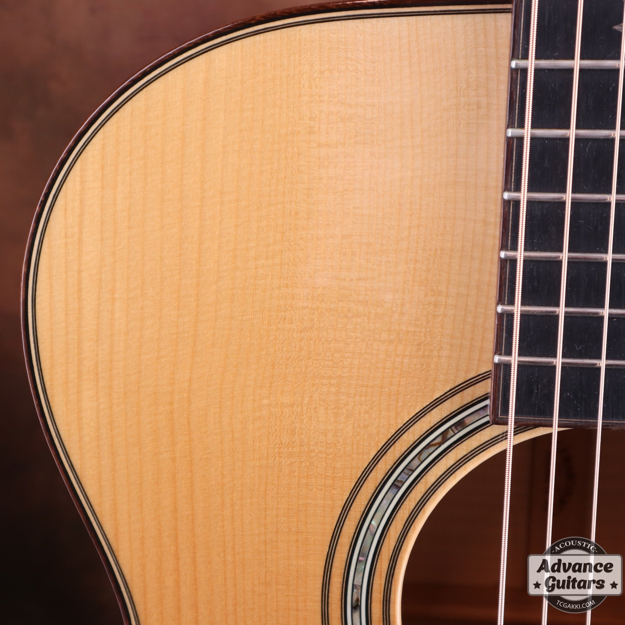 CTM OM-Maple “Adirondack Spruce/European Maple” - TC楽器 - TCGAKKI