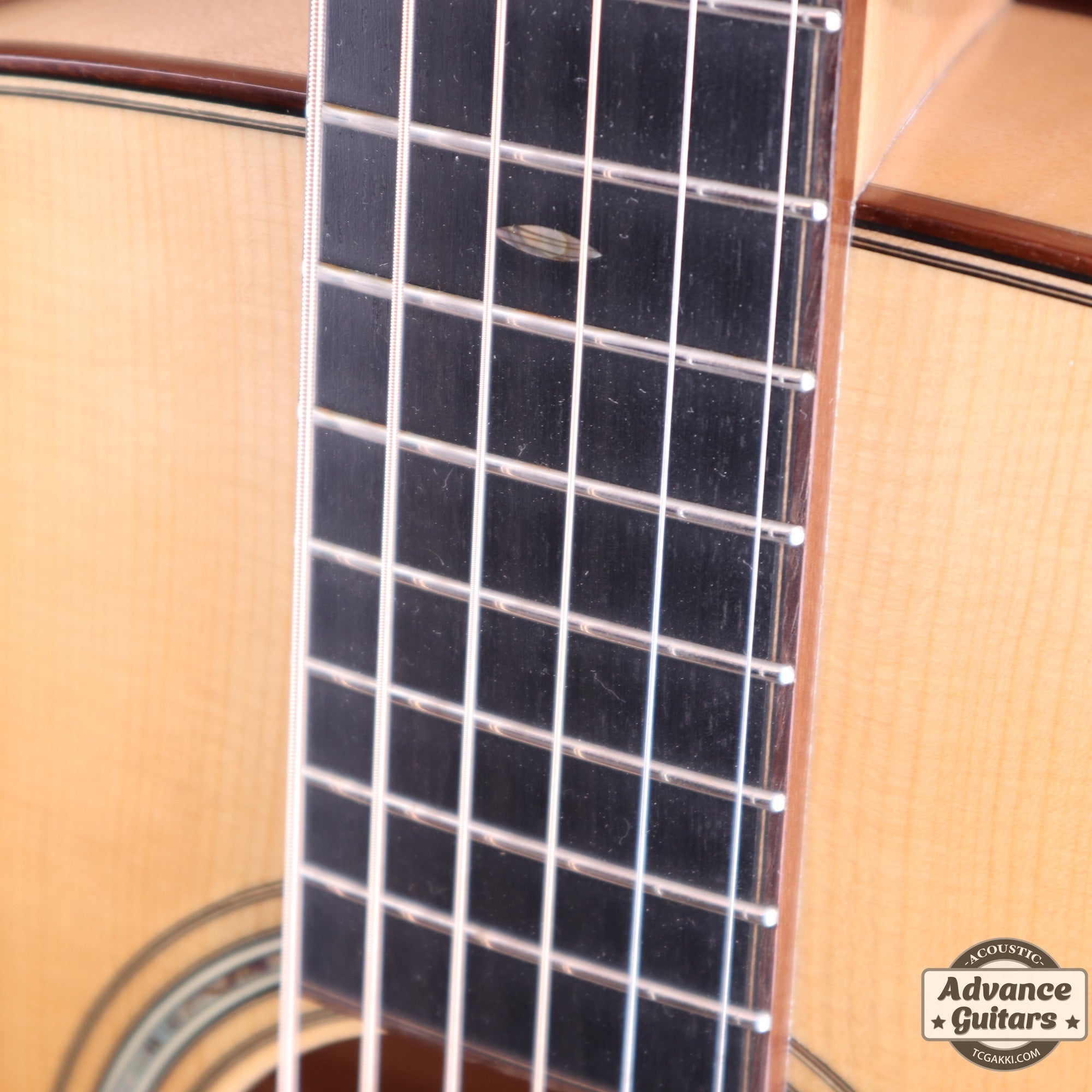 CTM OM-Maple “Adirondack Spruce/European Maple” - TC楽器 - TCGAKKI