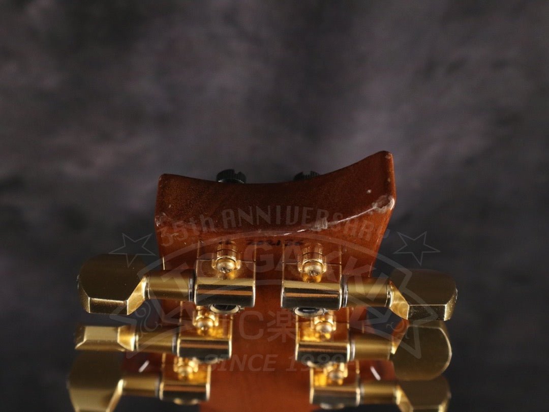 Custom 24 Artist Package - TC楽器 - TCGAKKI