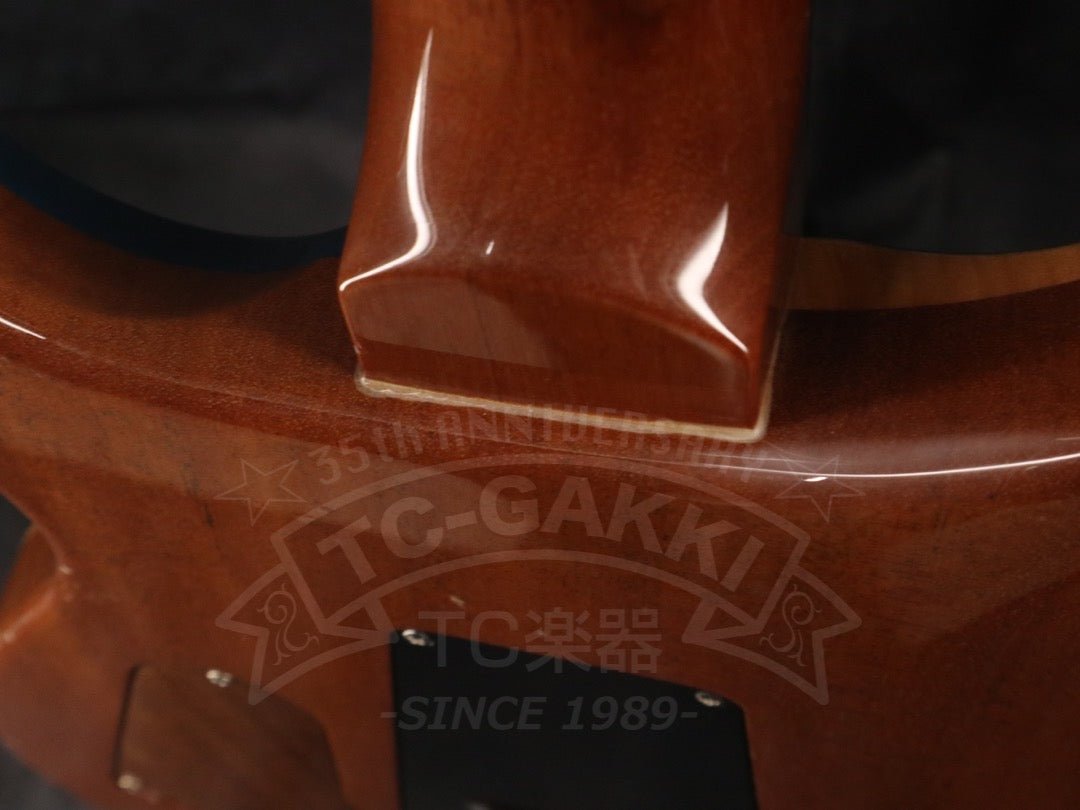 Custom 24 Artist Package - TC楽器 - TCGAKKI