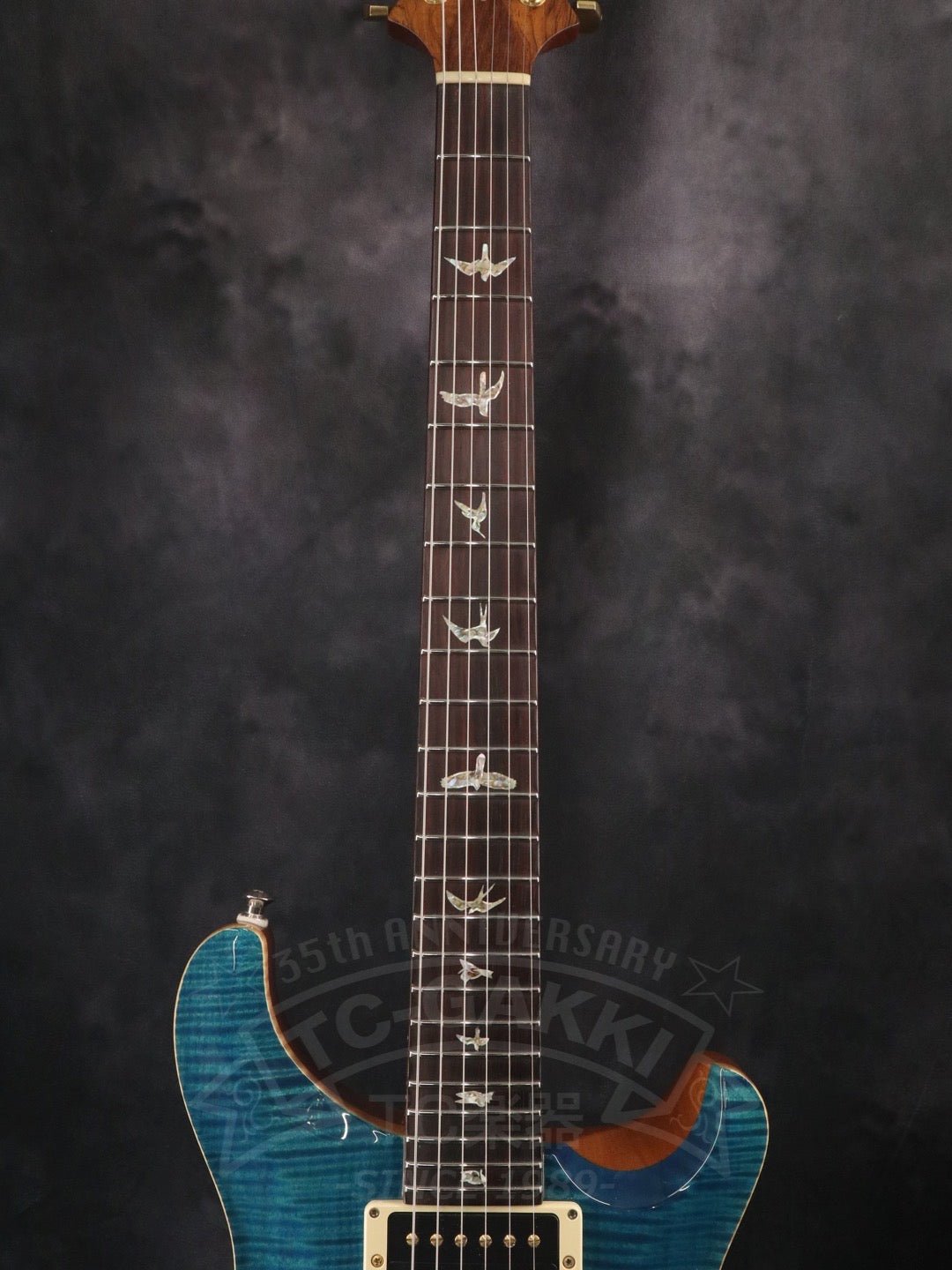 Custom 24 Artist Package - TC楽器 - TCGAKKI