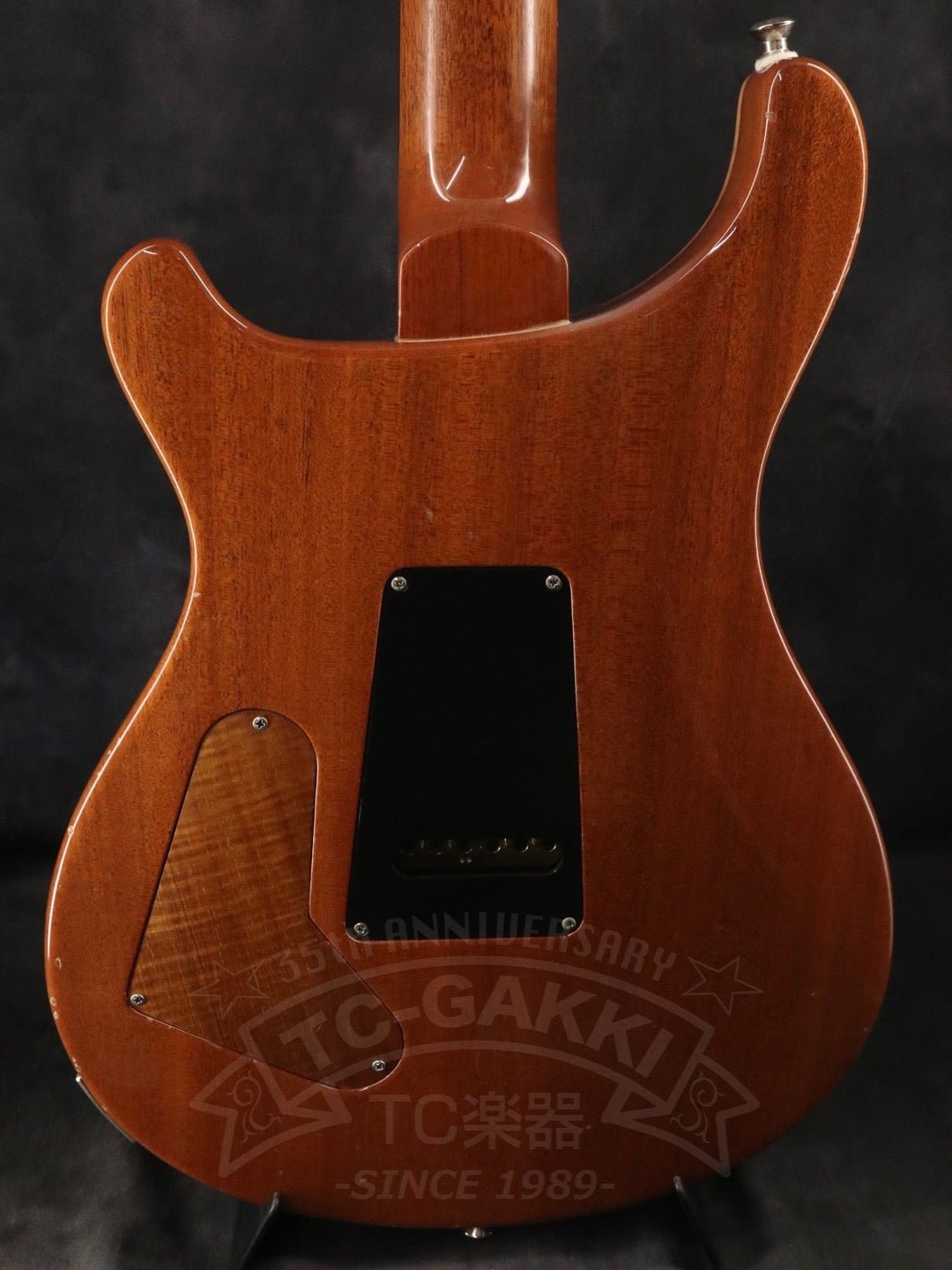 Custom 24 Artist Package - TC楽器 - TCGAKKI