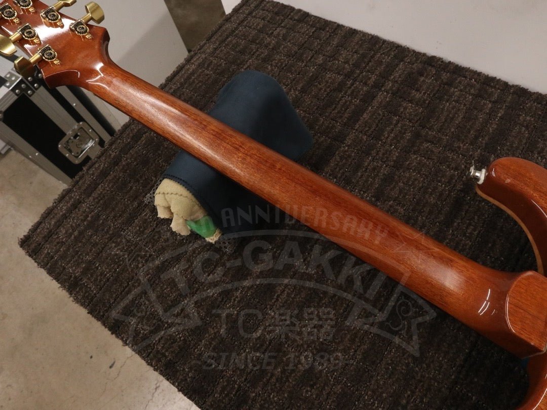 Custom 24 Artist Package - TC楽器 - TCGAKKI