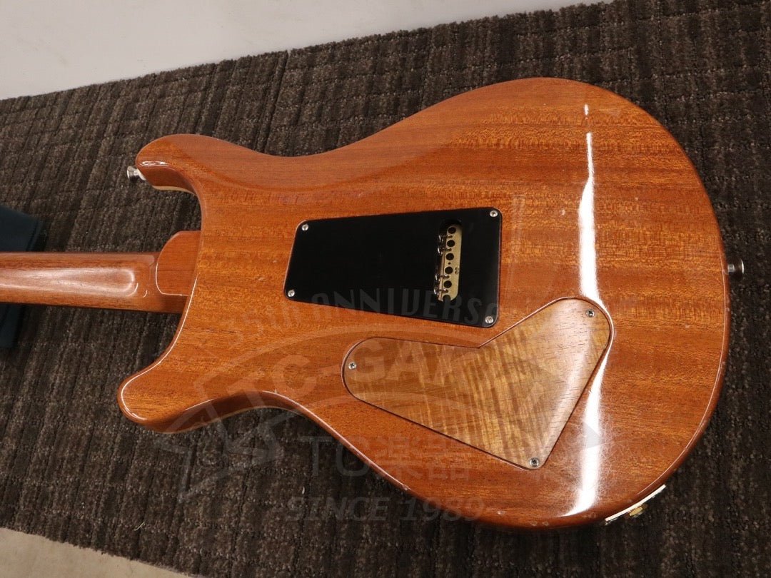 Custom 24 Artist Package - TC楽器 - TCGAKKI