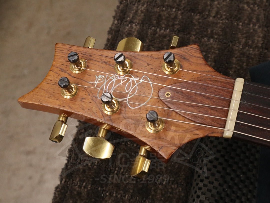 Custom 24 Artist Package - TC楽器 - TCGAKKI